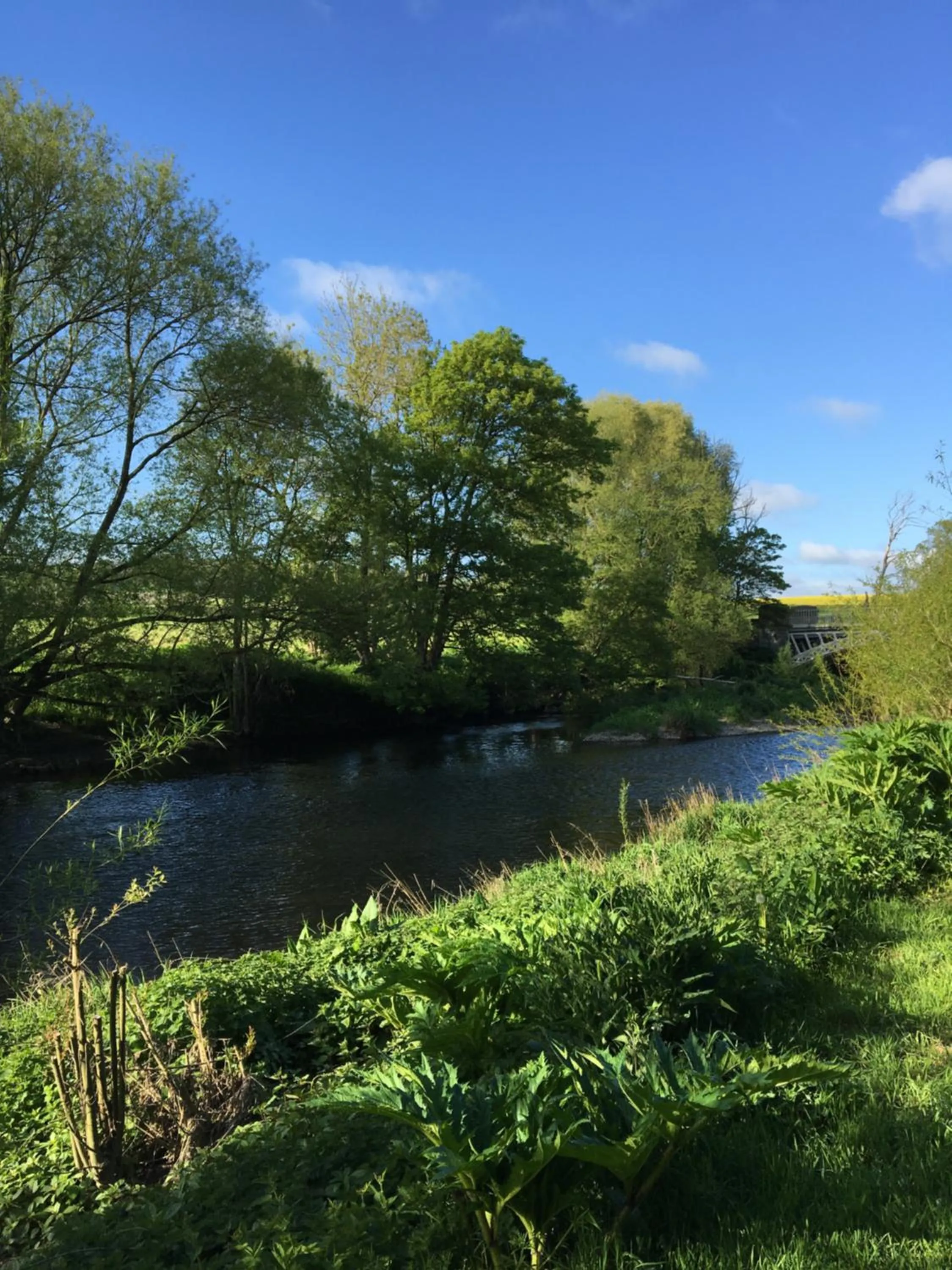 Natural landscape in Bron Hafren