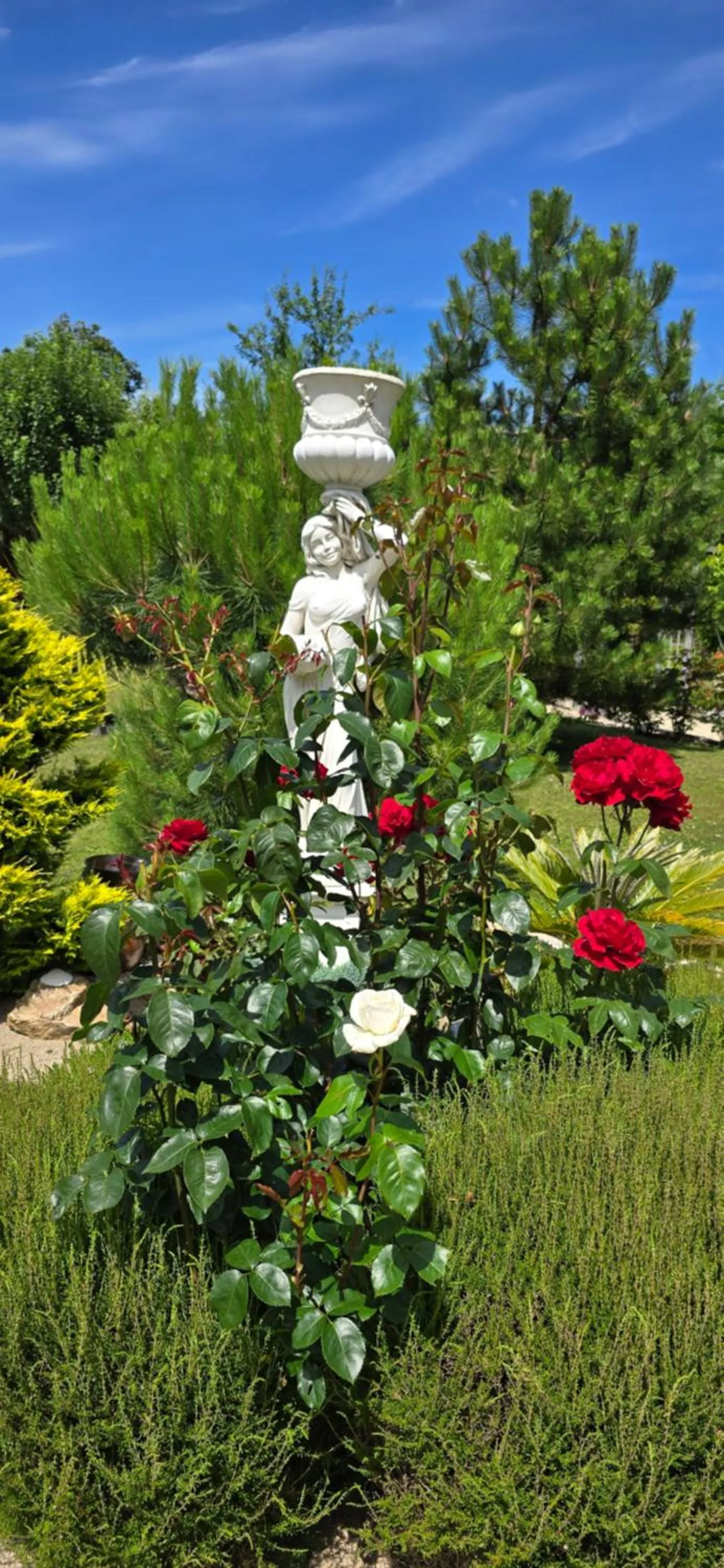 Property building in TiNat chambre