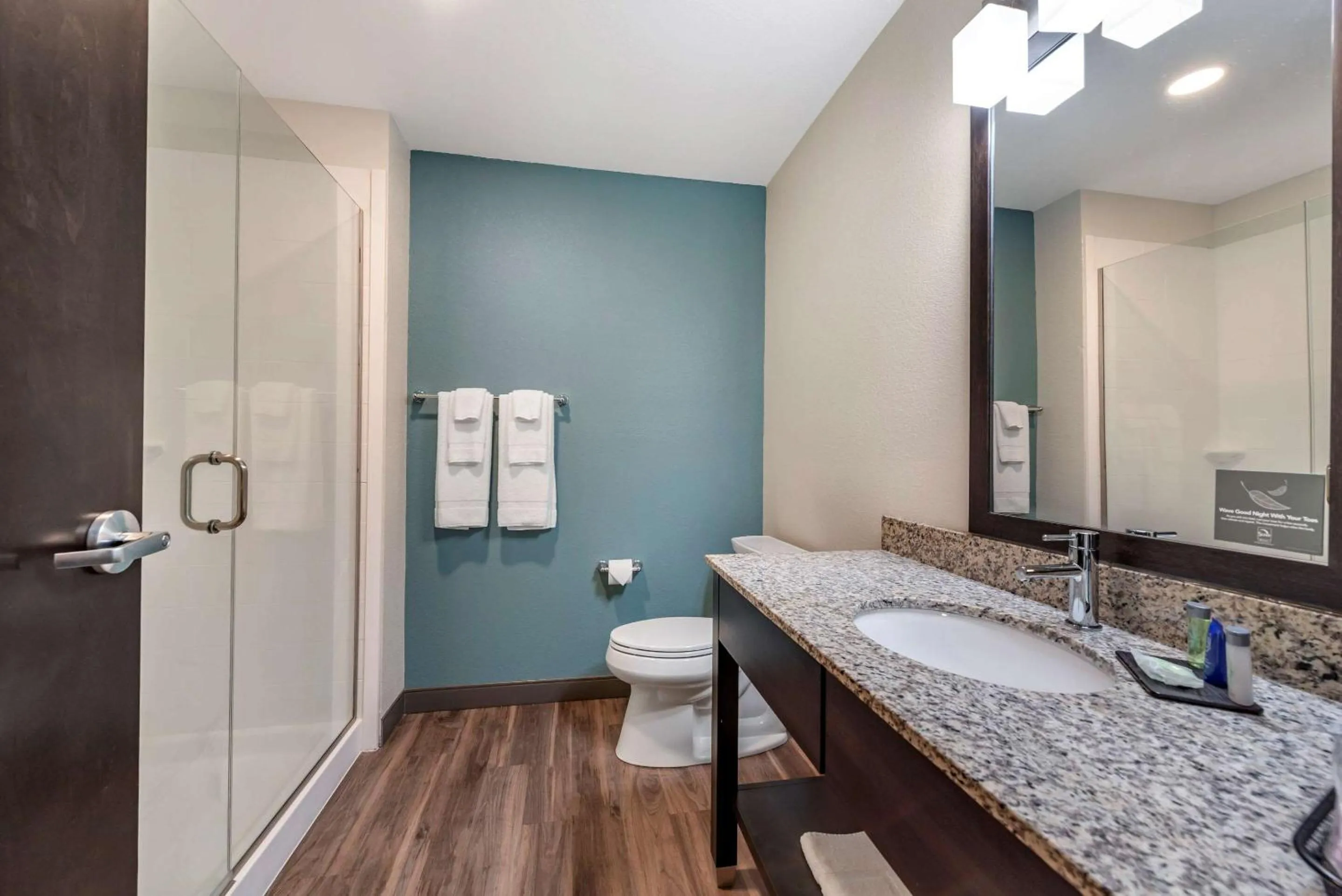 Bathroom in Sleep Inn Newberry - Crane