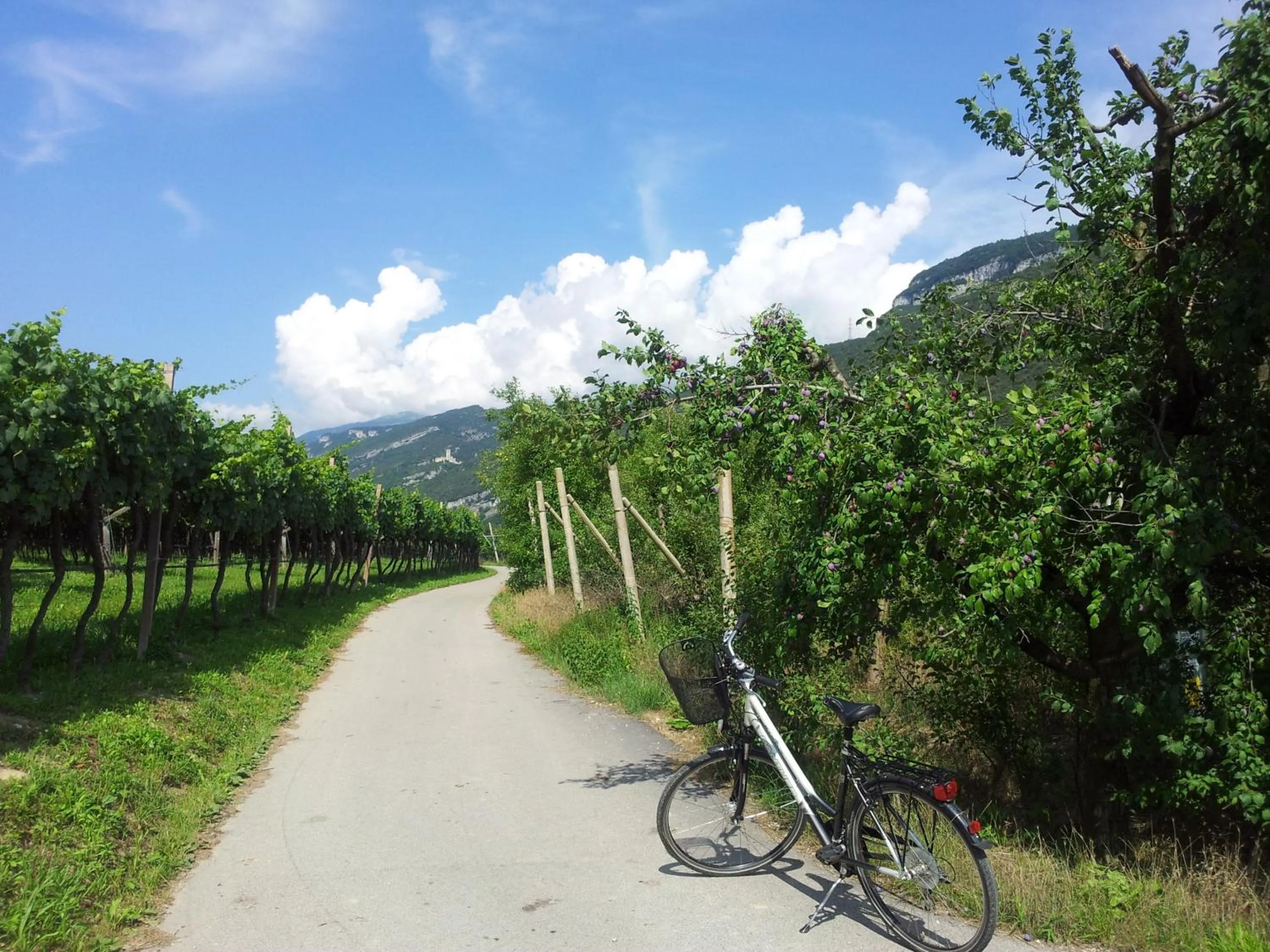 Other in Maso Agritur Santa Lucia