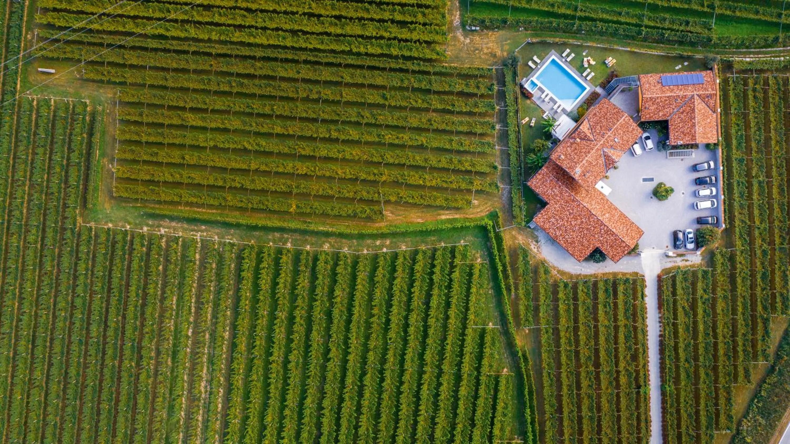 Bird's eye view in Maso Agritur Santa Lucia