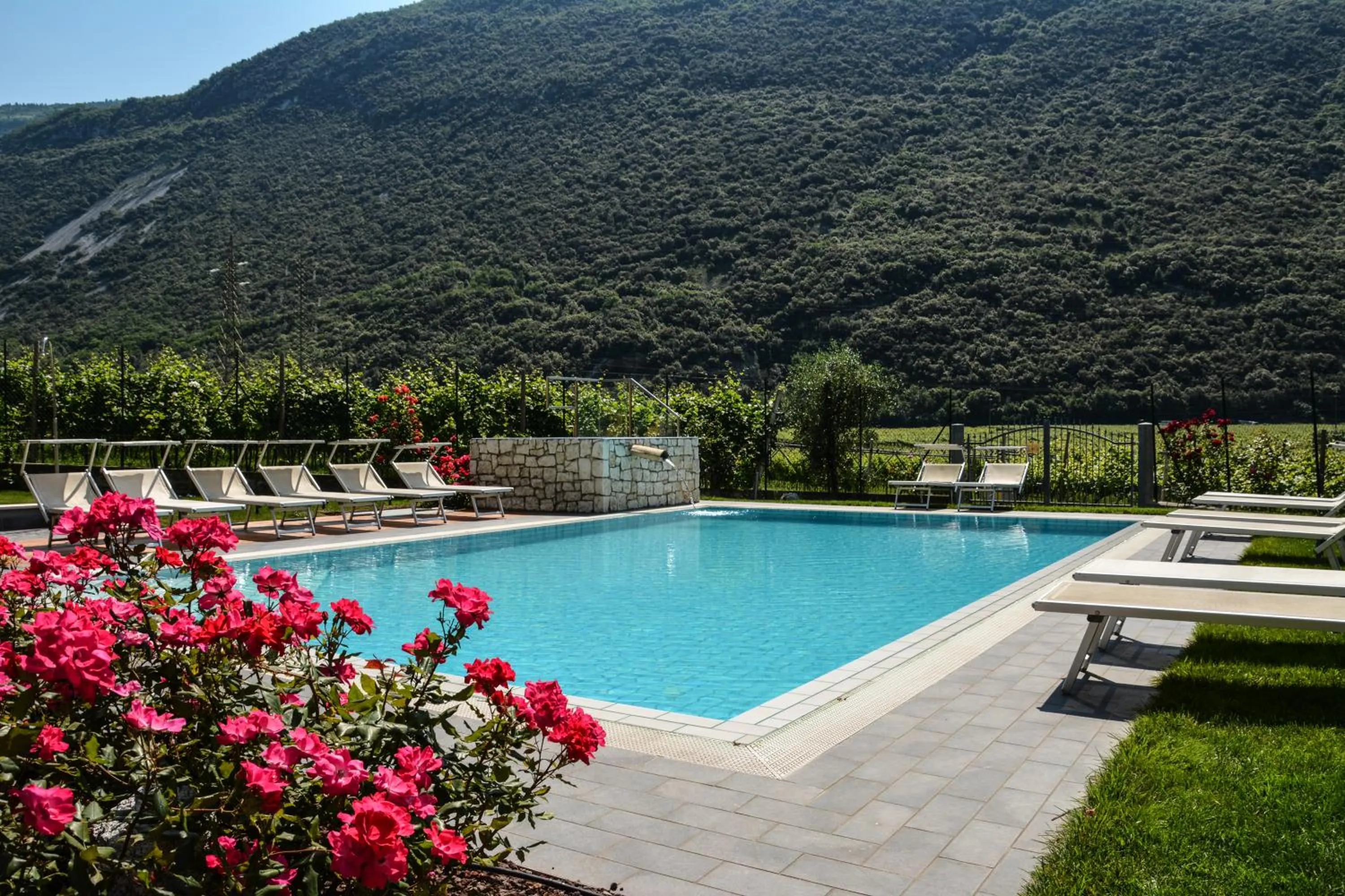 Swimming pool in Maso Agritur Santa Lucia
