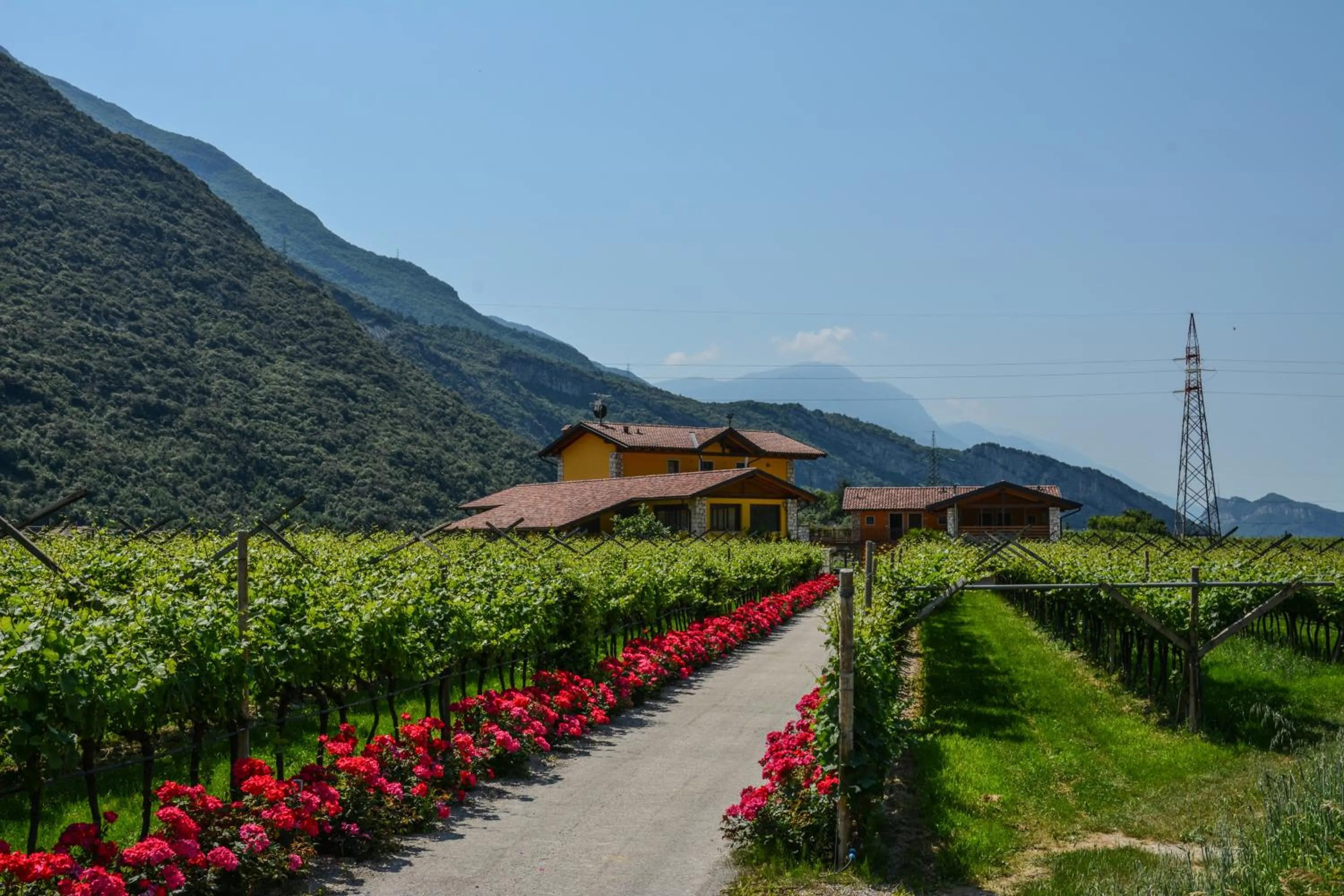 Summer in Maso Agritur Santa Lucia