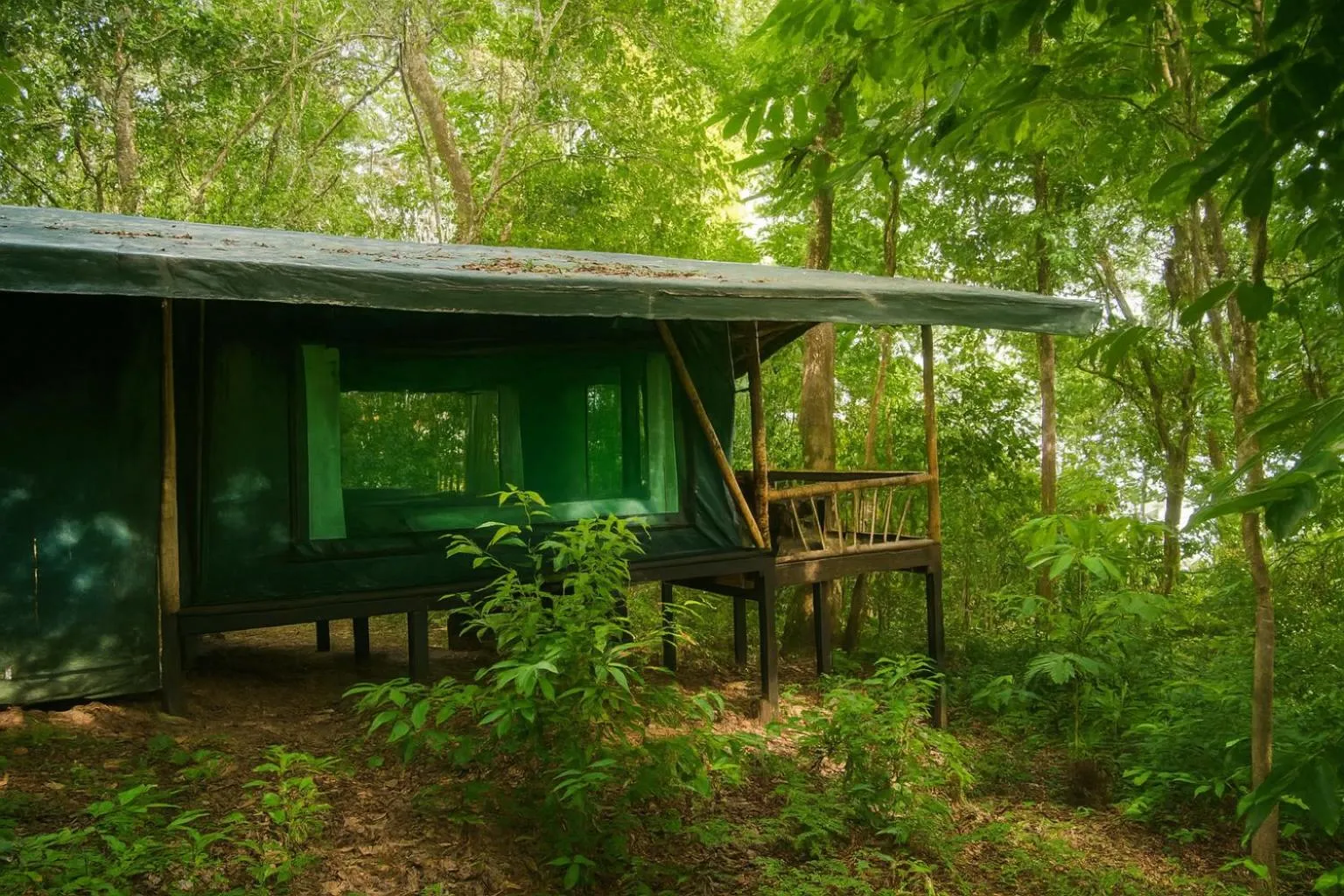 Property building in La Leona Eco Lodge