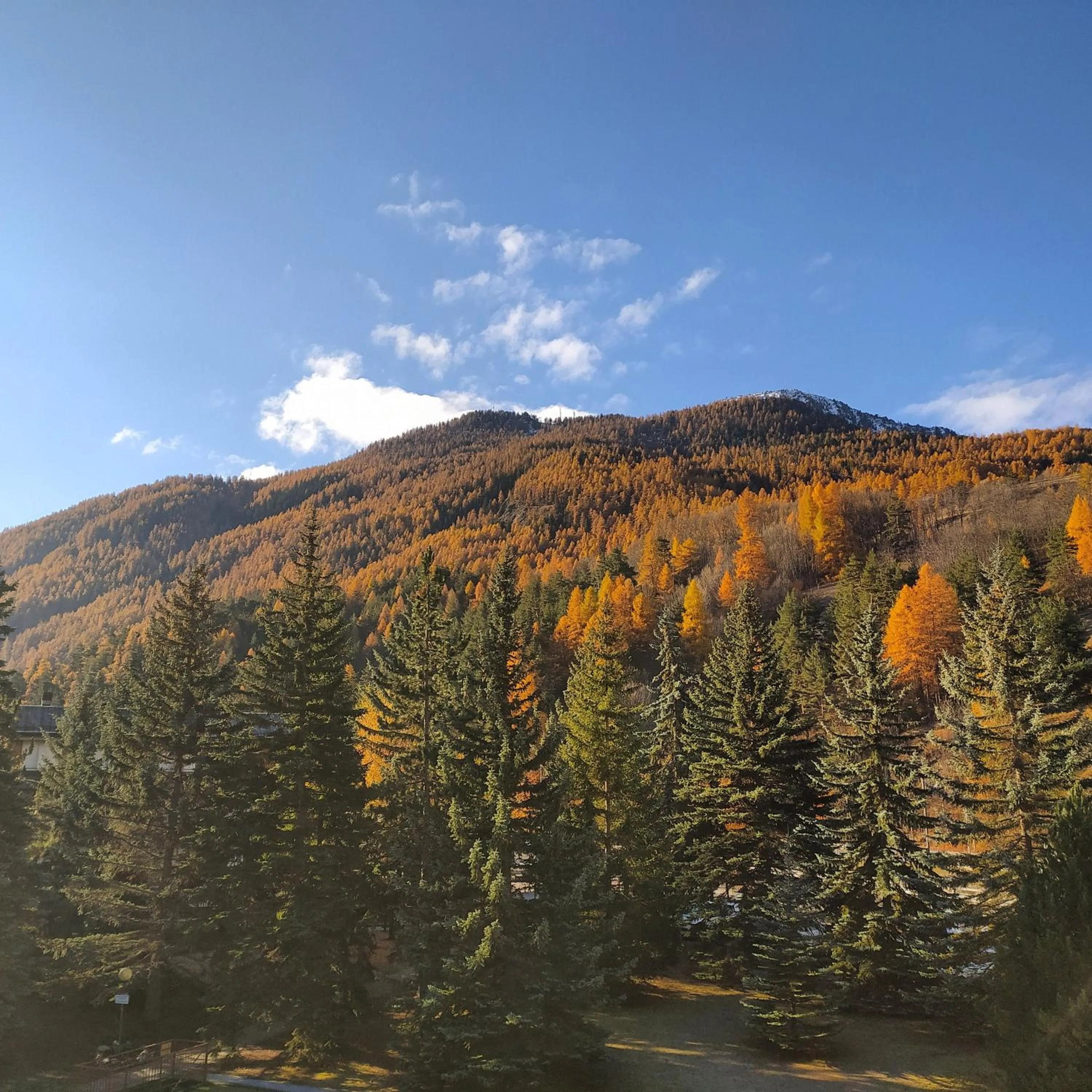 Autumn in Ca' Francesca - bilocale a Cesana Torinese
