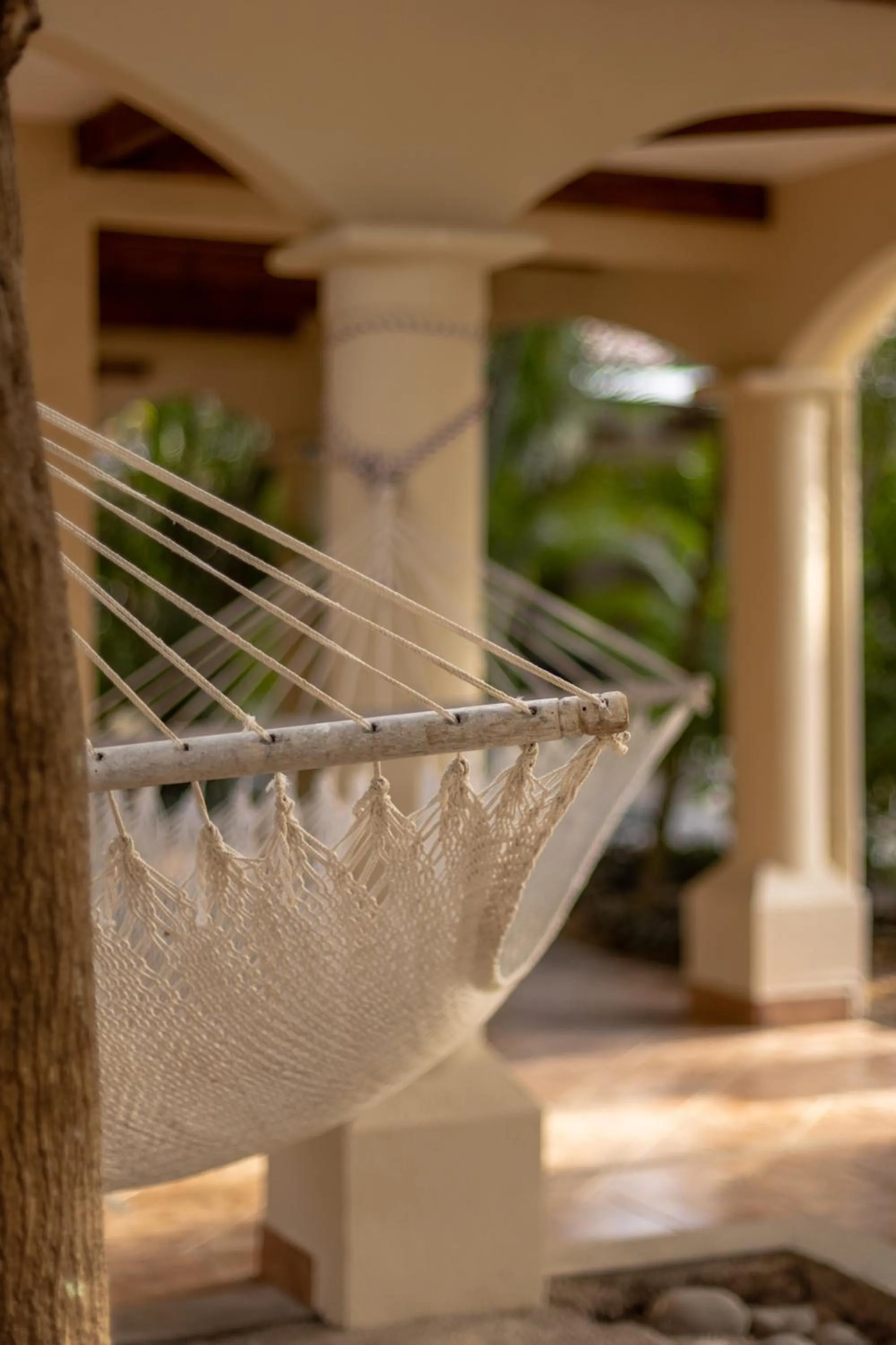 Property building in Boutique Surf Hotel Rip Jack Inn