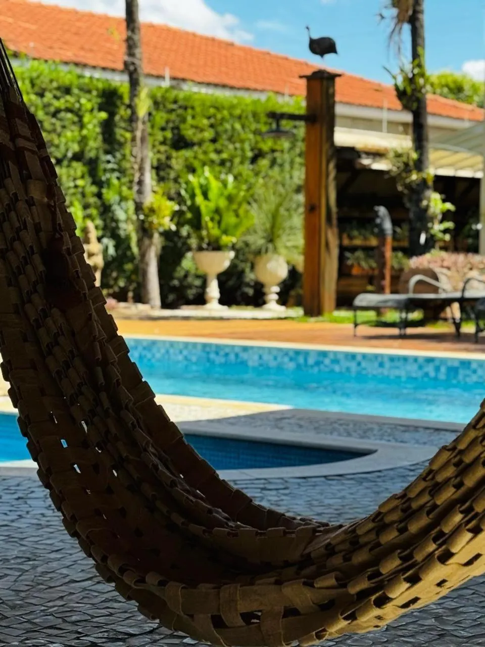 Swimming pool in Taj Hotel