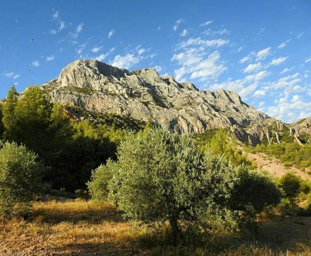 Natural landscape in Chambre d'hôtes LE SECADOU