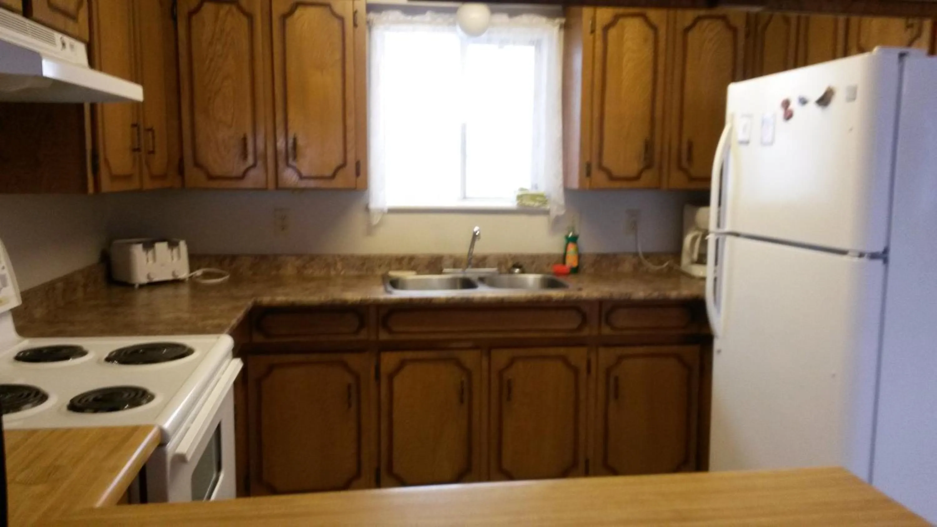 Kitchen or kitchenette in Lakeside Motel
