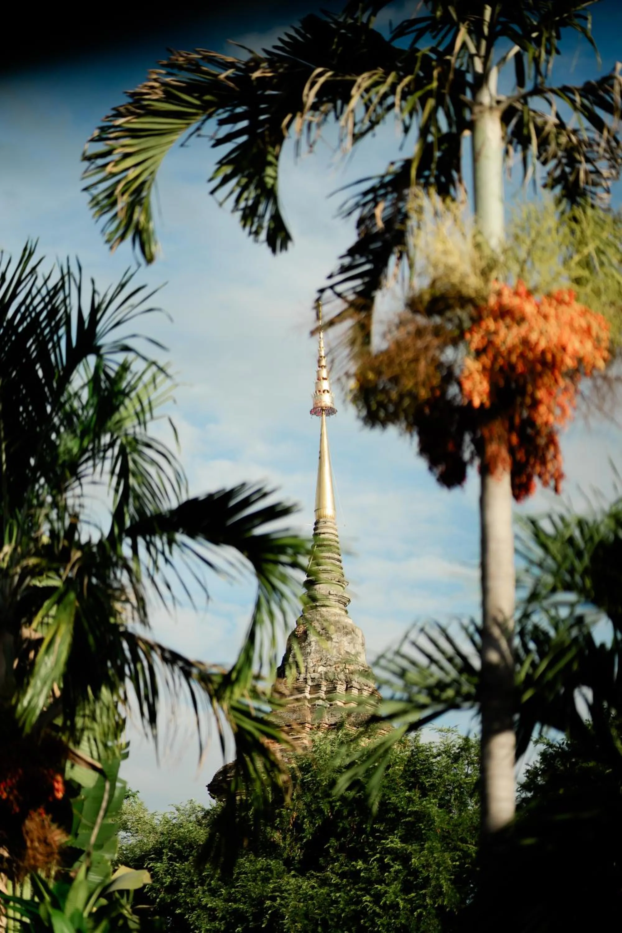 Nearby landmark in Tolani Northgate Villa Chiang Mai