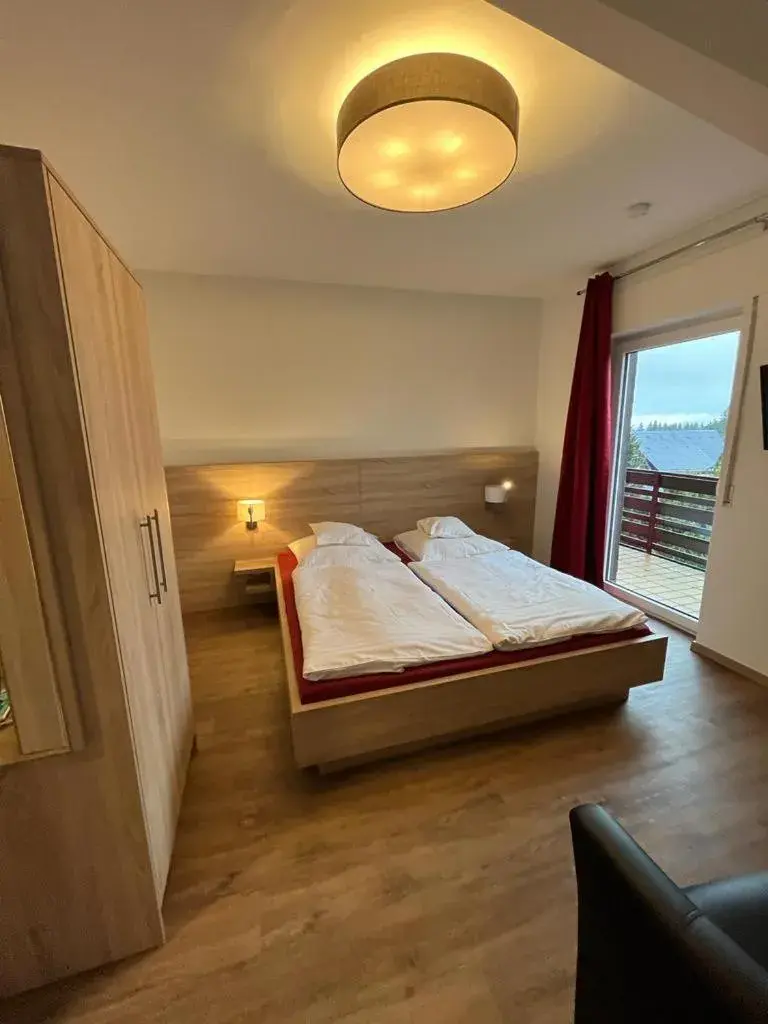 Double Room with Balcony - single occupancy in Hotel Clemens Double Room with Balcony - single occupancy in Hotel Clemens