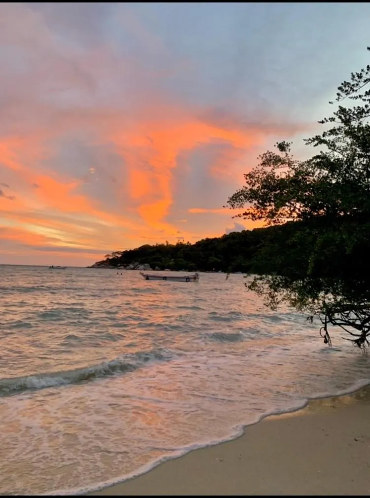 Koh Tao Tropicana Resort