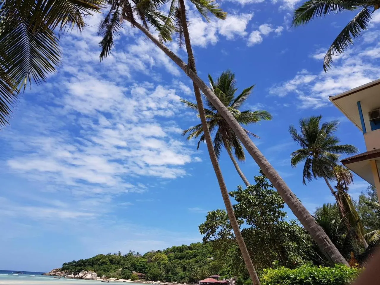 Natural landscape in Koh Tao Tropicana Resort