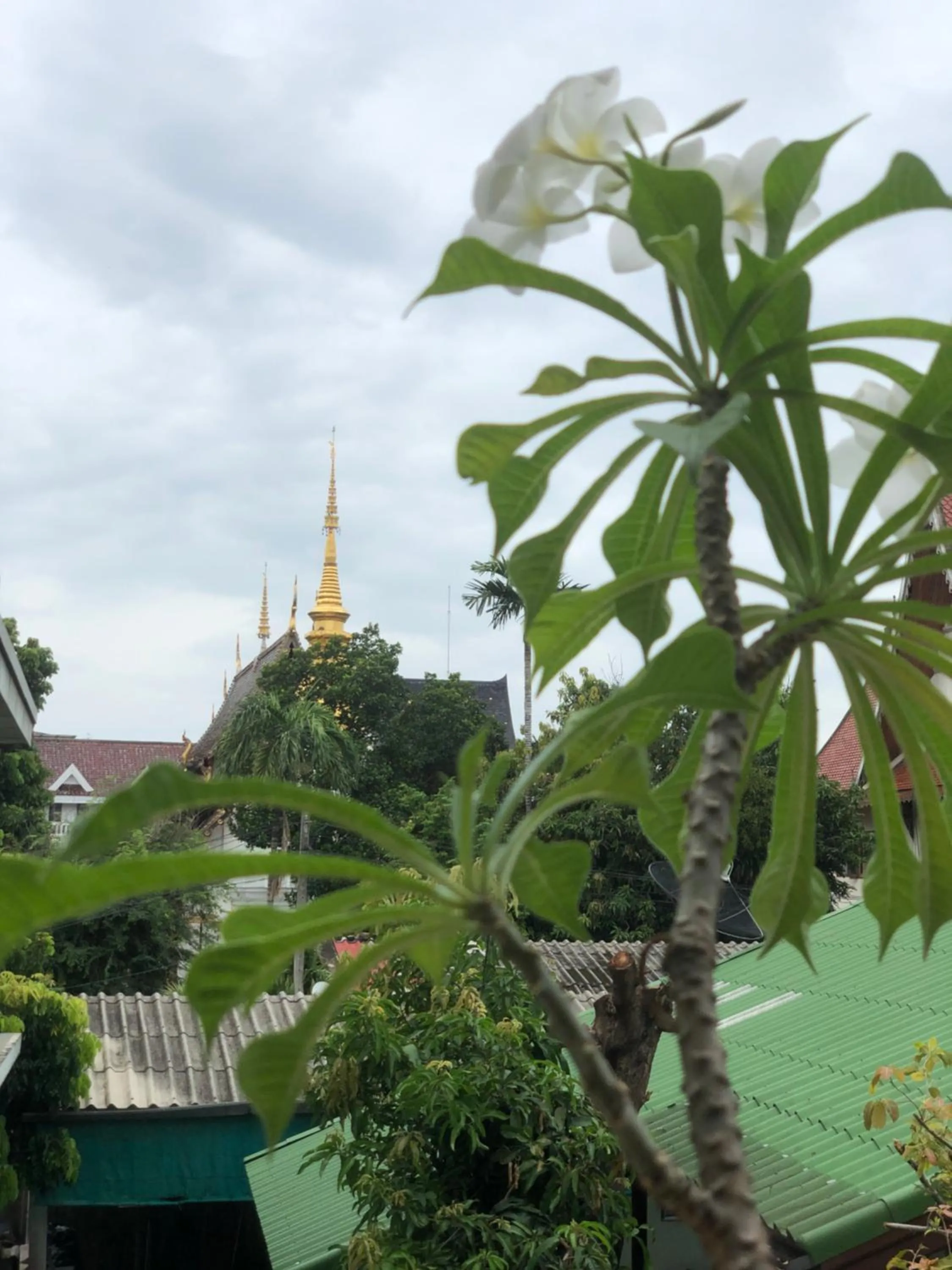 View (from property/room) in Thongran's House