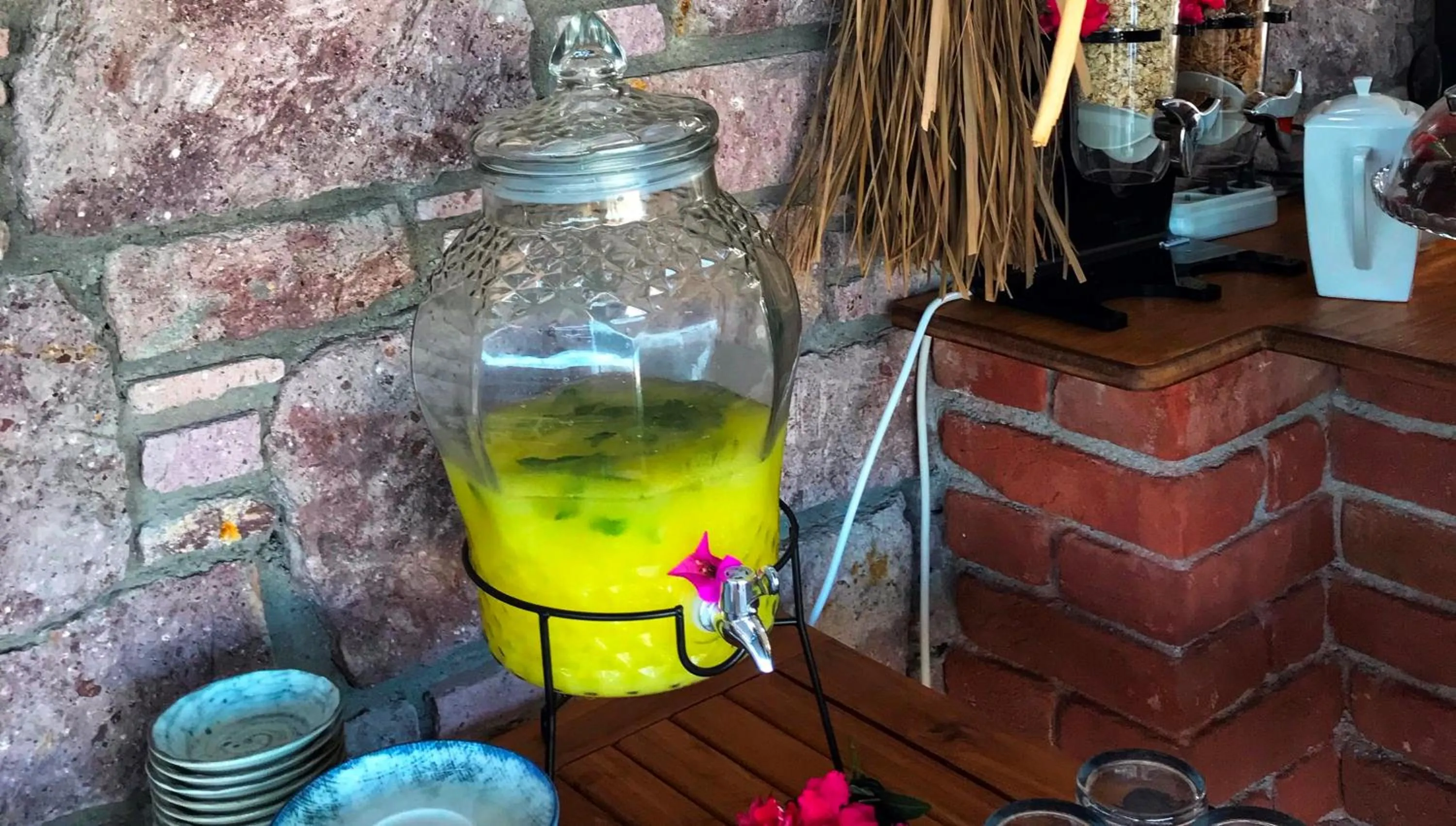 Drinks in Sukha Cunda Otel