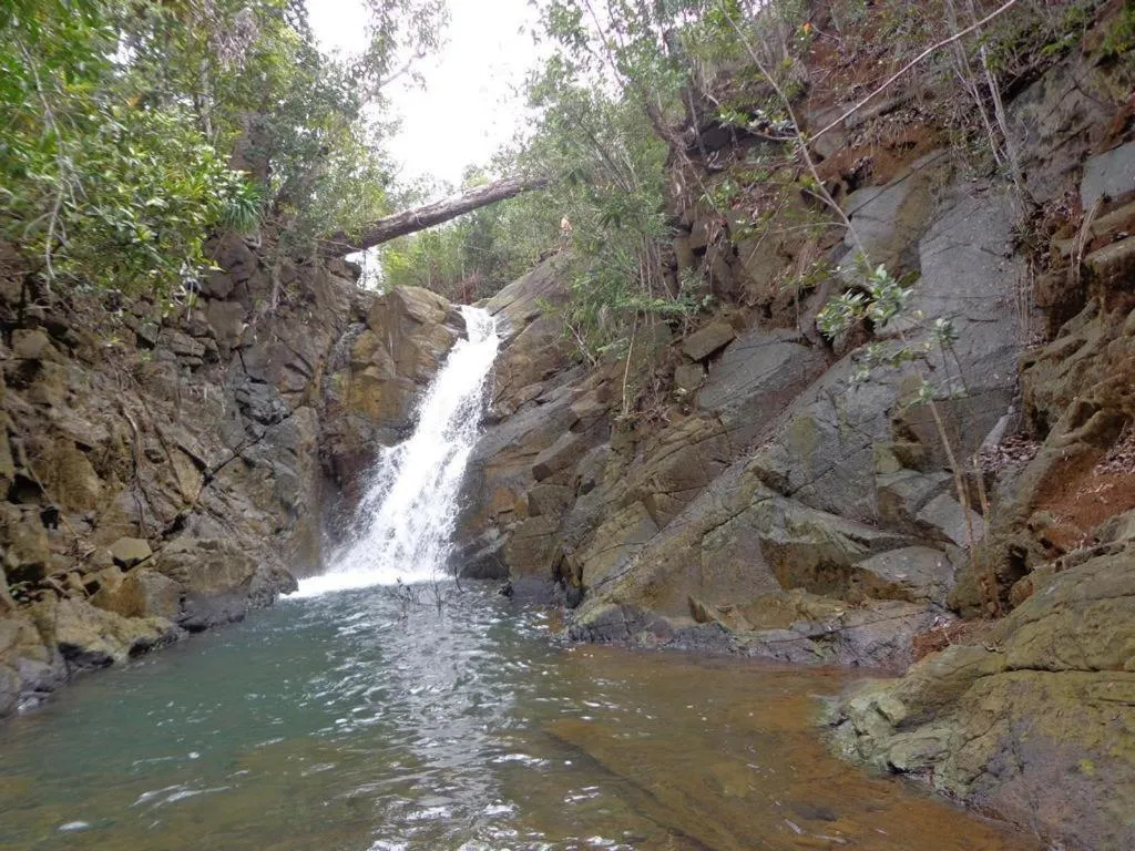 Natural landscape in Eddie`s Beach Resort Siargao