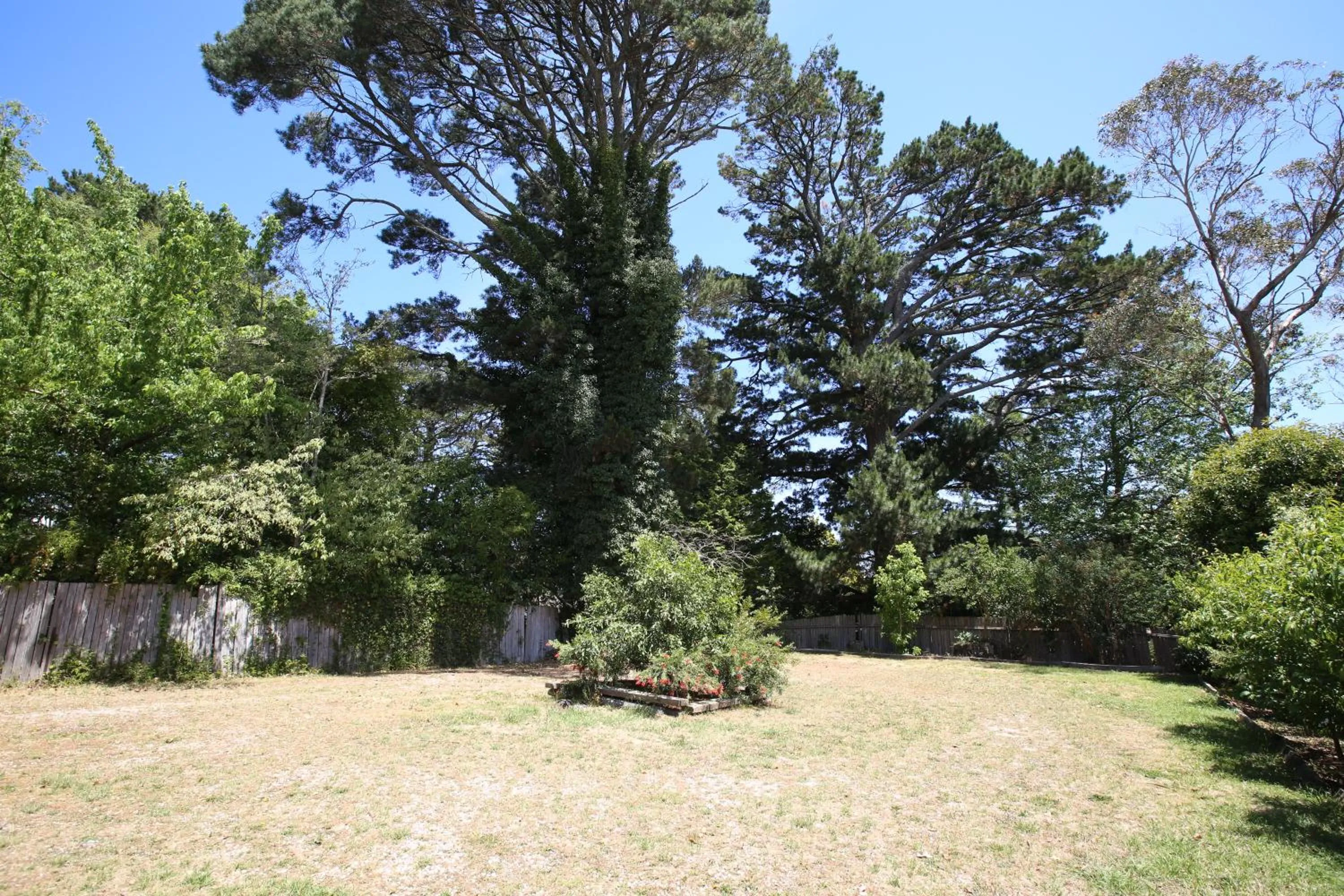 Belgravia Mountain Guest House