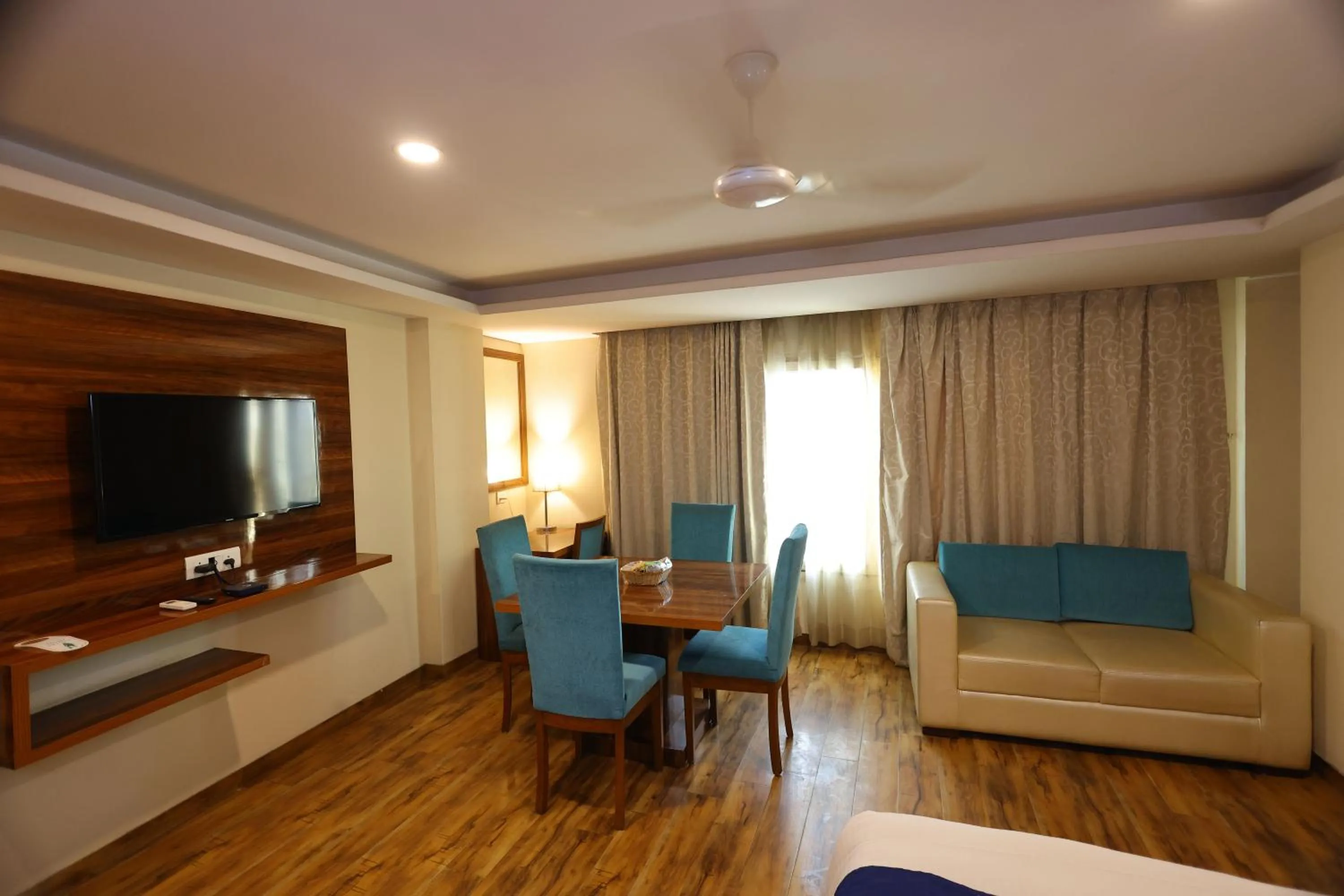 TV and multimedia in Airport Hotel Ramhan Palace Mahipalpur