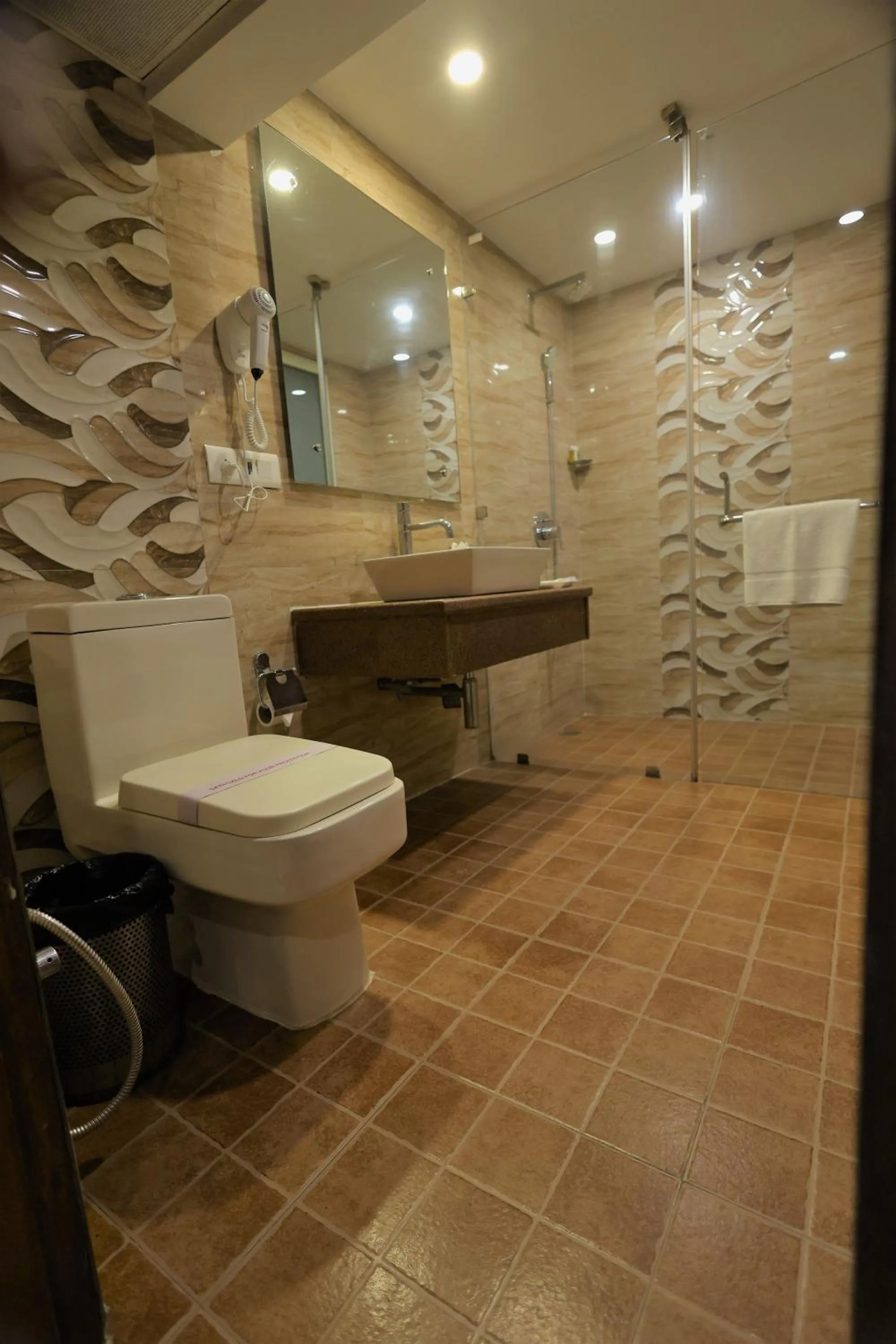 Shower in Airport Hotel Ramhan Palace Mahipalpur