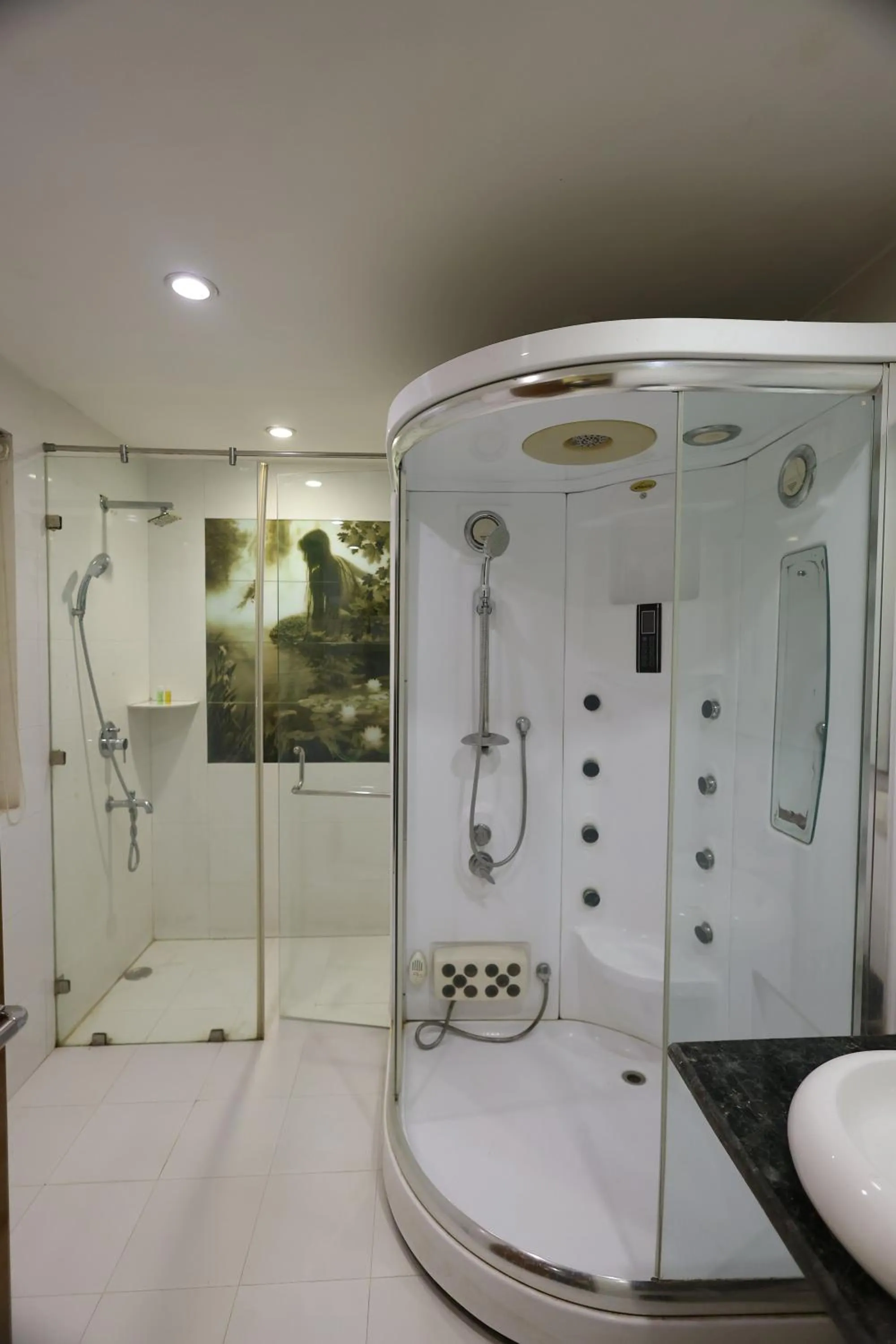 Shower in Airport Hotel Ramhan Palace Mahipalpur