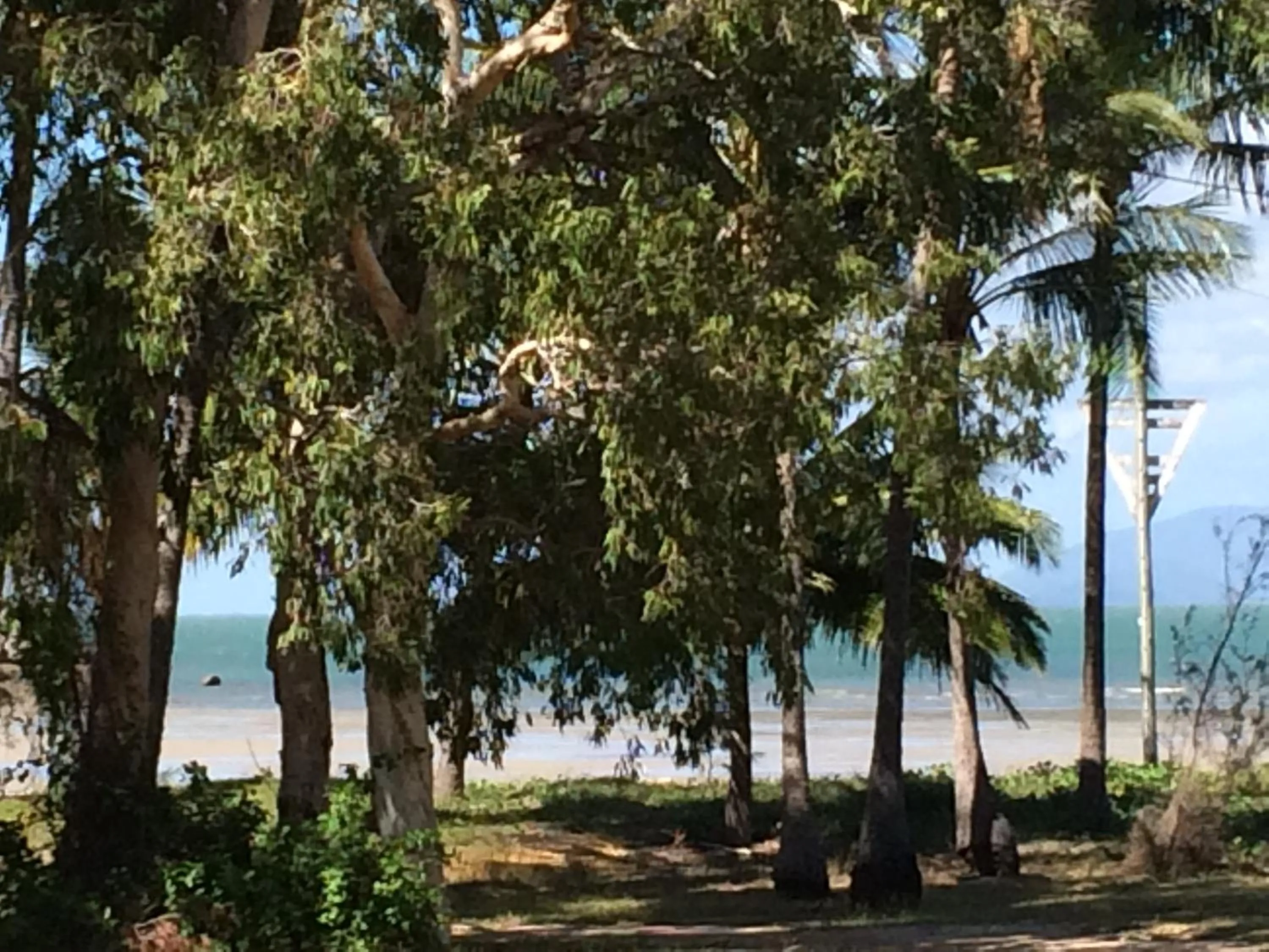 Day in Arcadia Village Motel