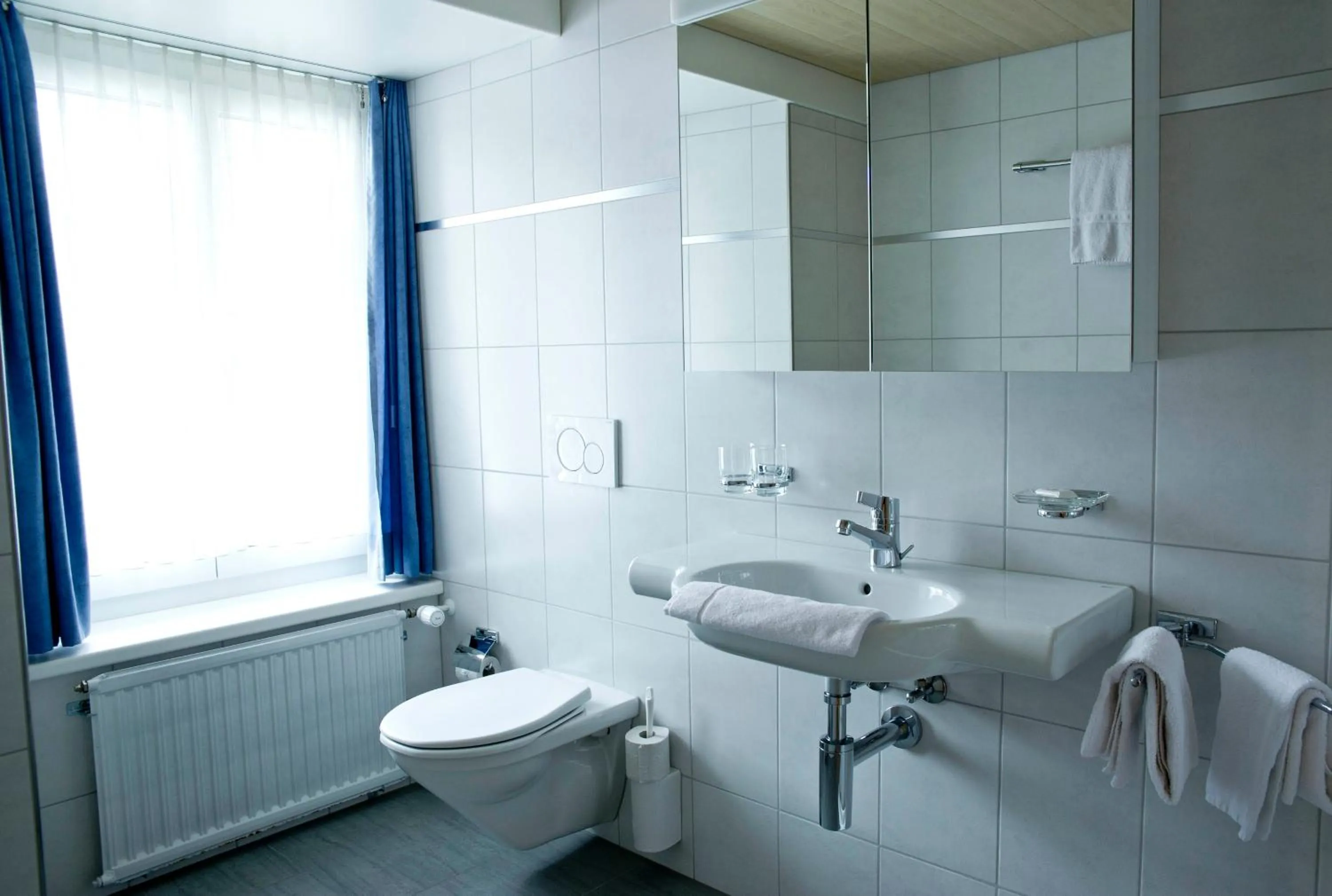 Bathroom in Hotel Alpina