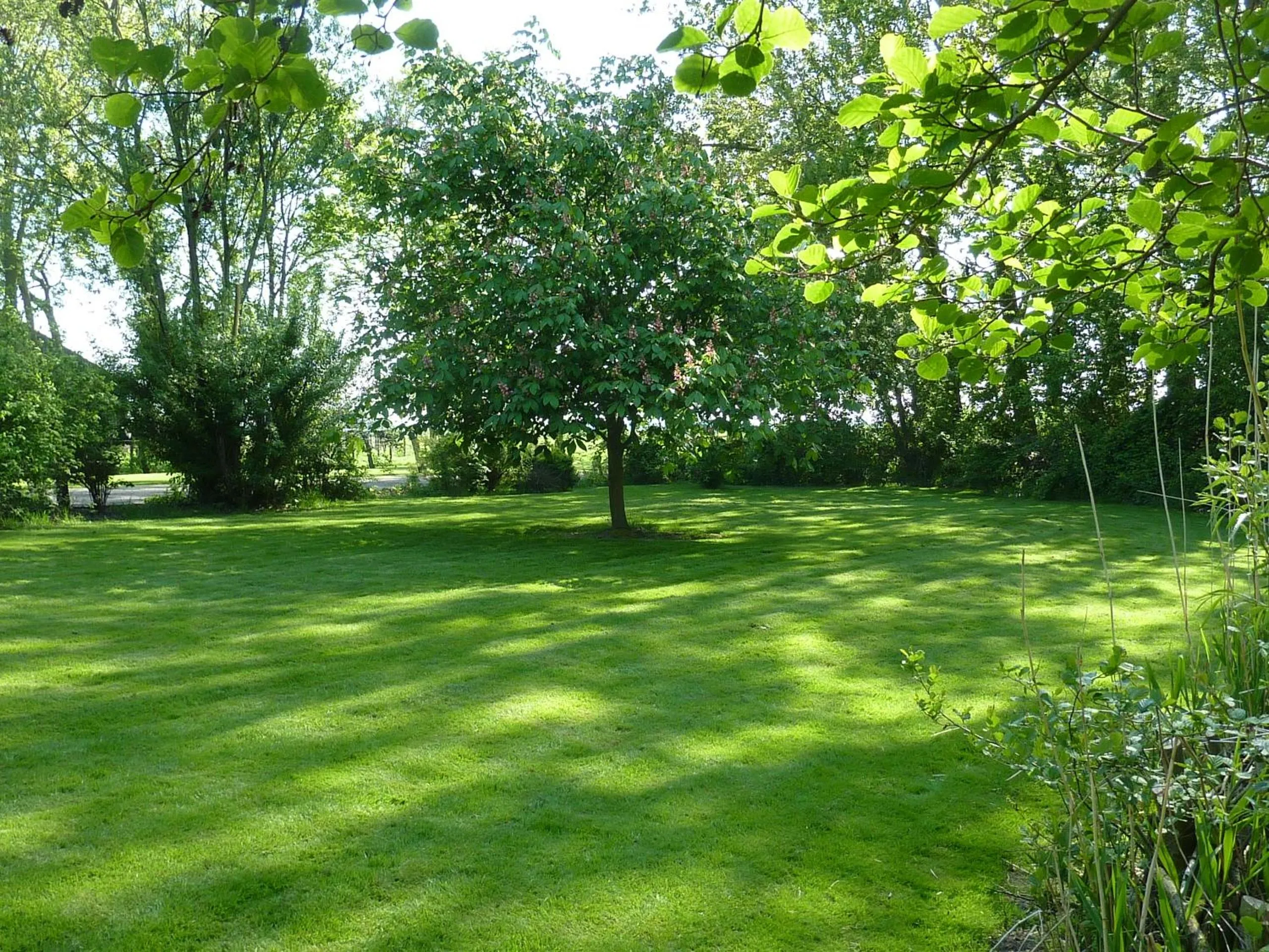 Garden in Bed & Breakfast De Koegang