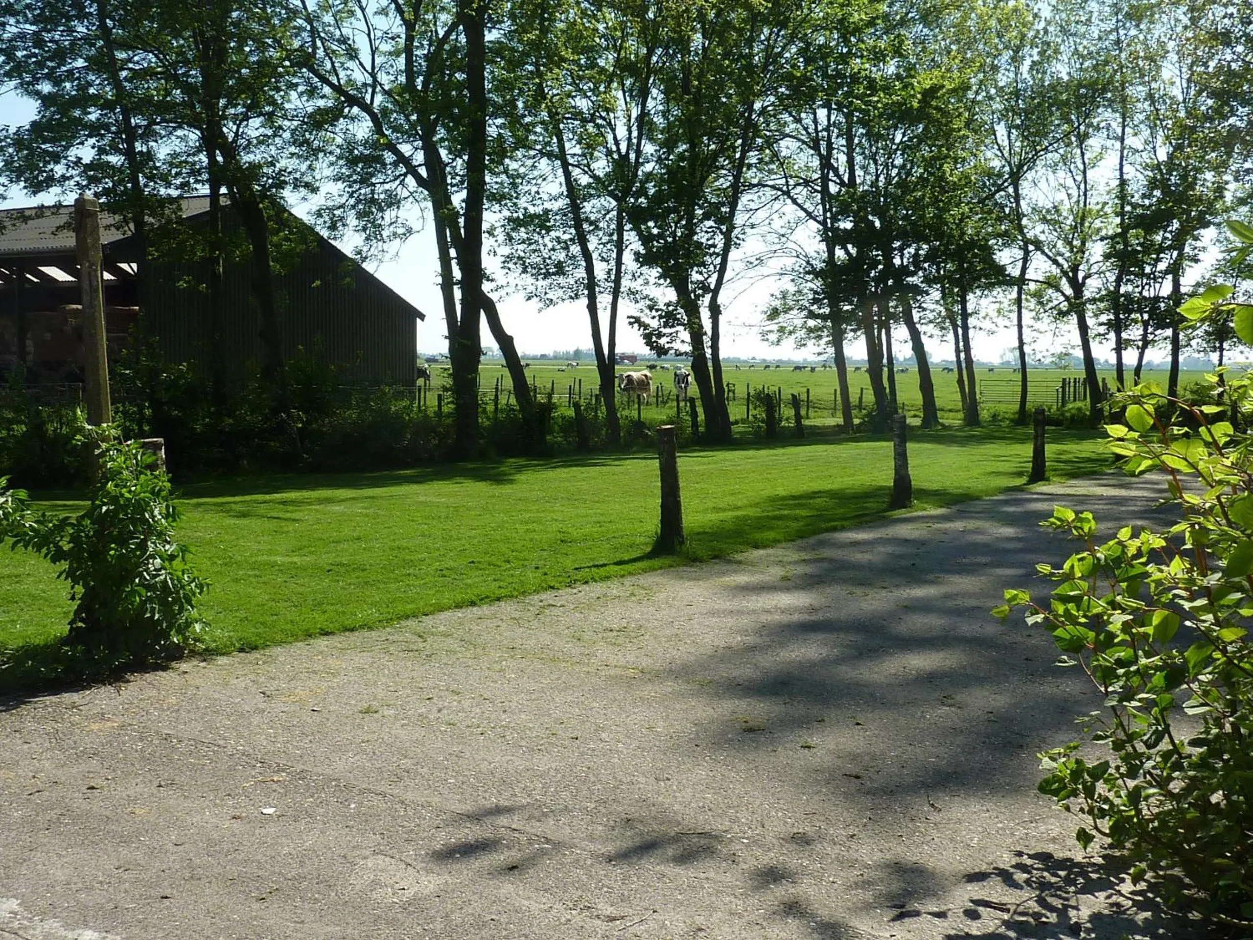 Garden in Bed & Breakfast De Koegang