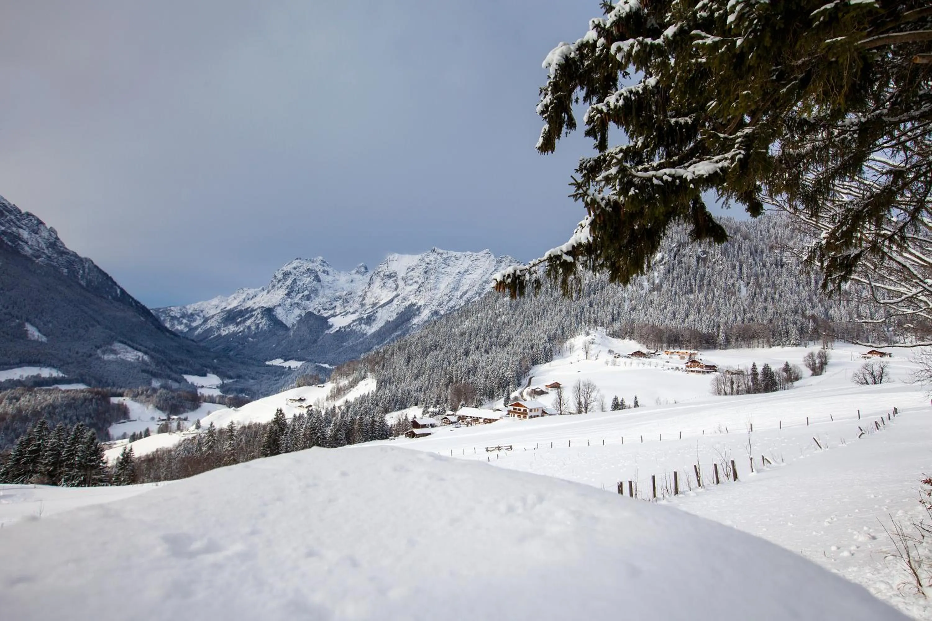 Neighbourhood in Hotel-Gasthof Nutzkaser