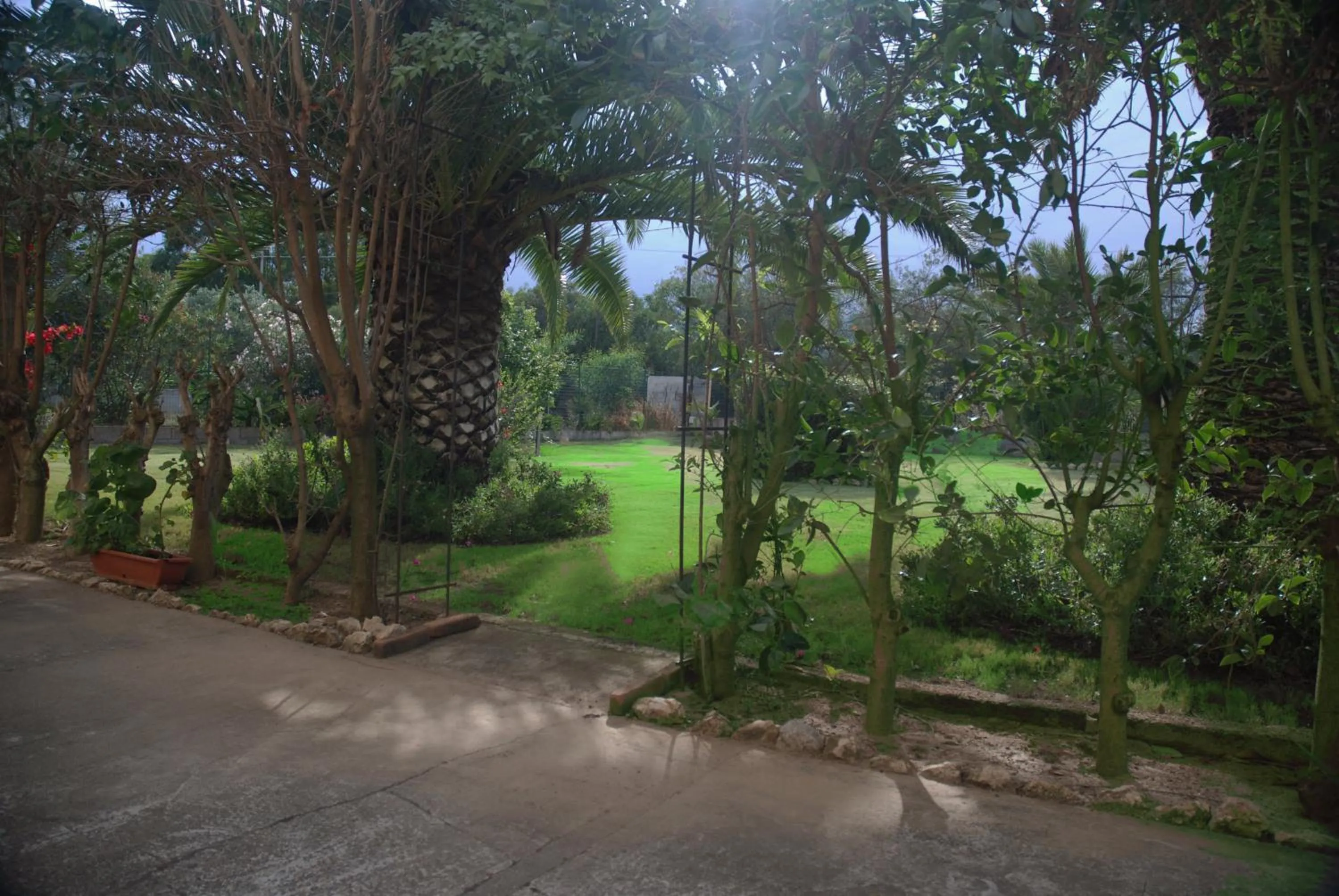 Garden view in Sorecanu