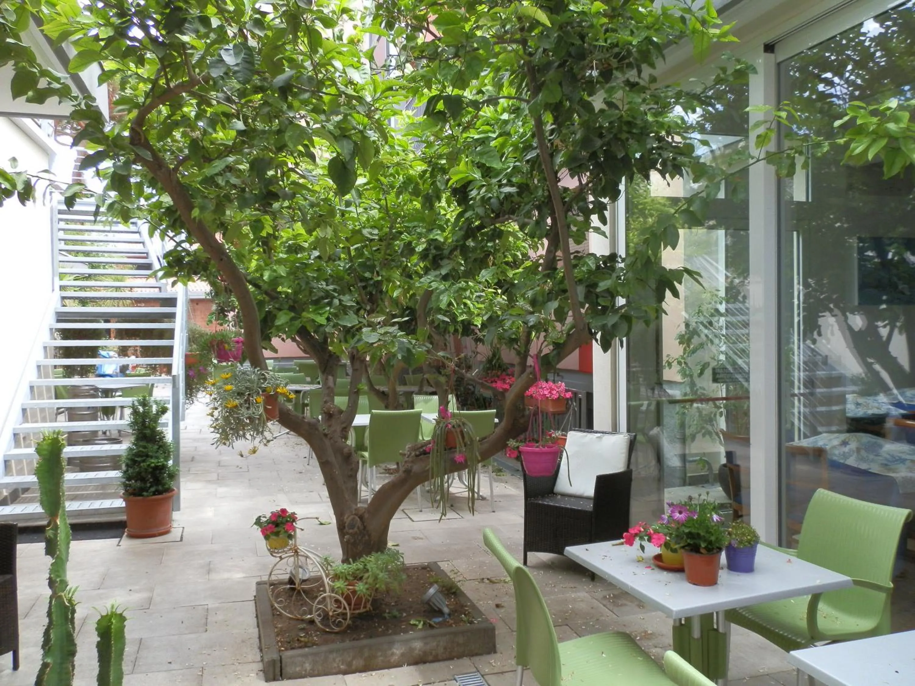 Garden in Hotel Lucerna