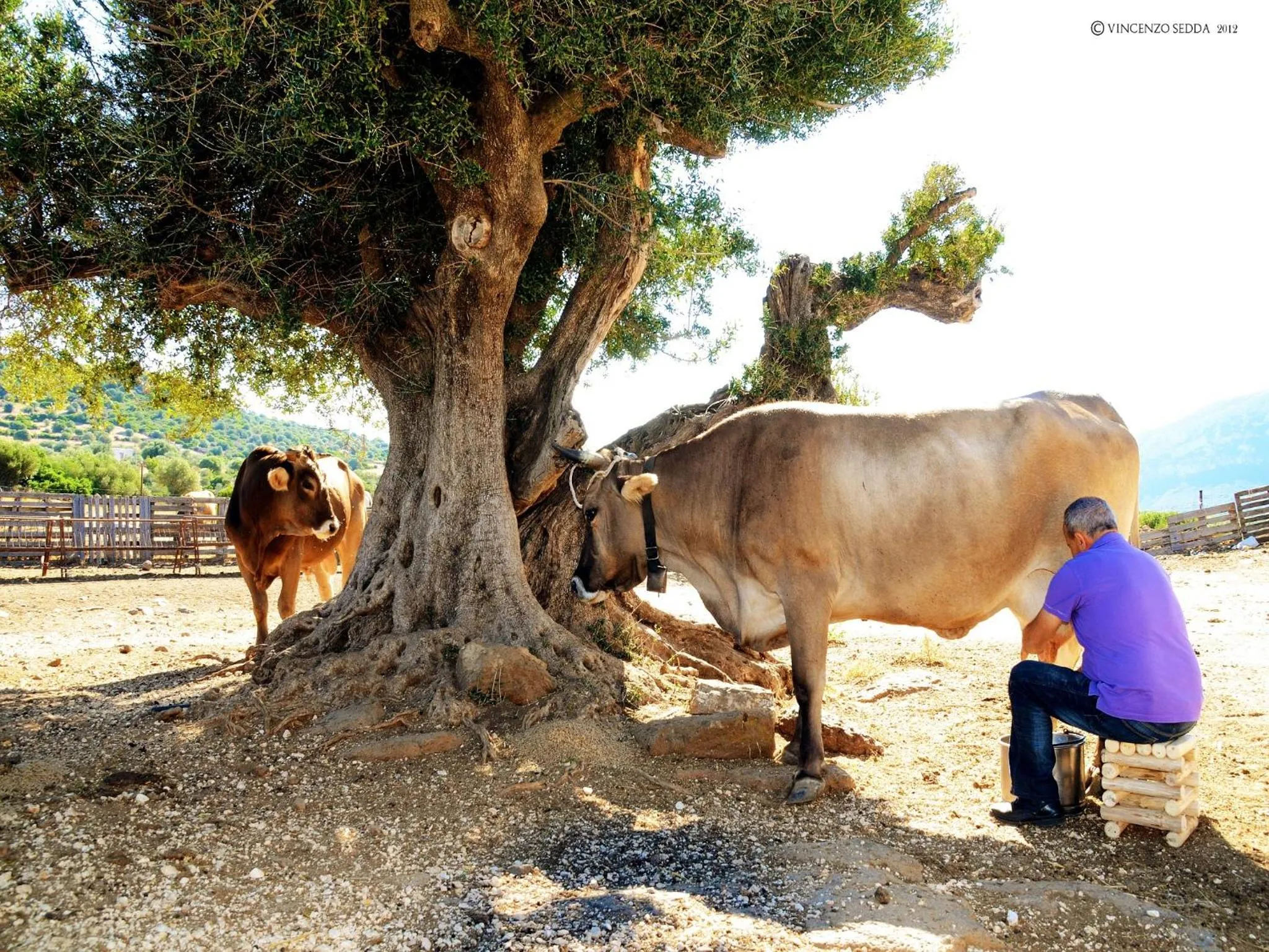 Other in Country House S'Ozzastru