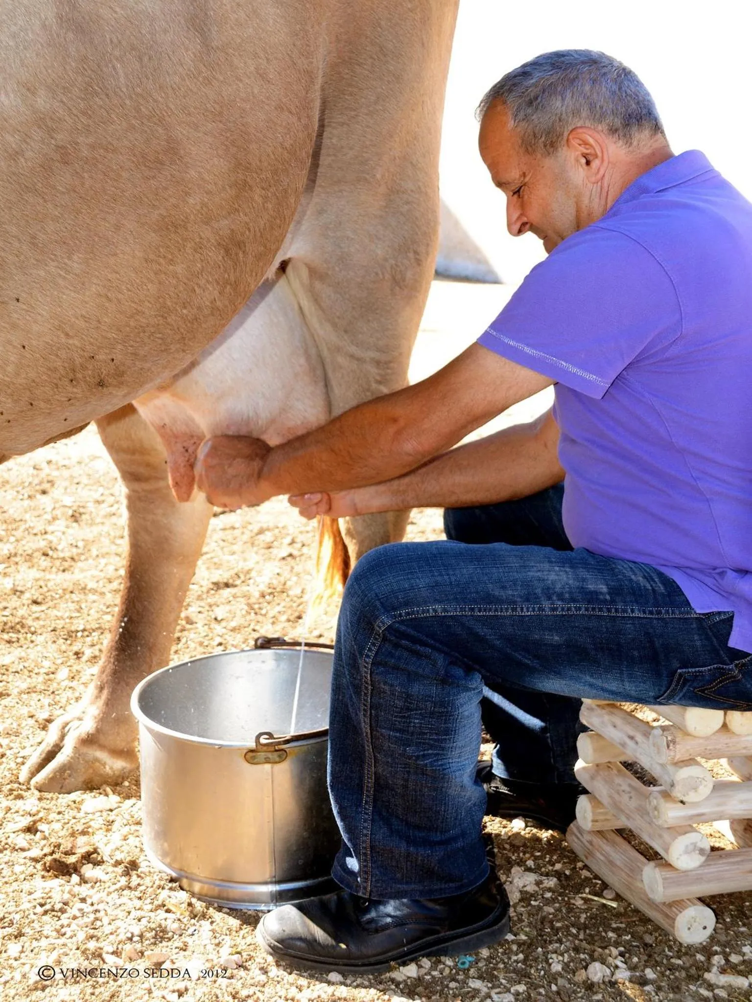 Hiking in Country House S'Ozzastru
