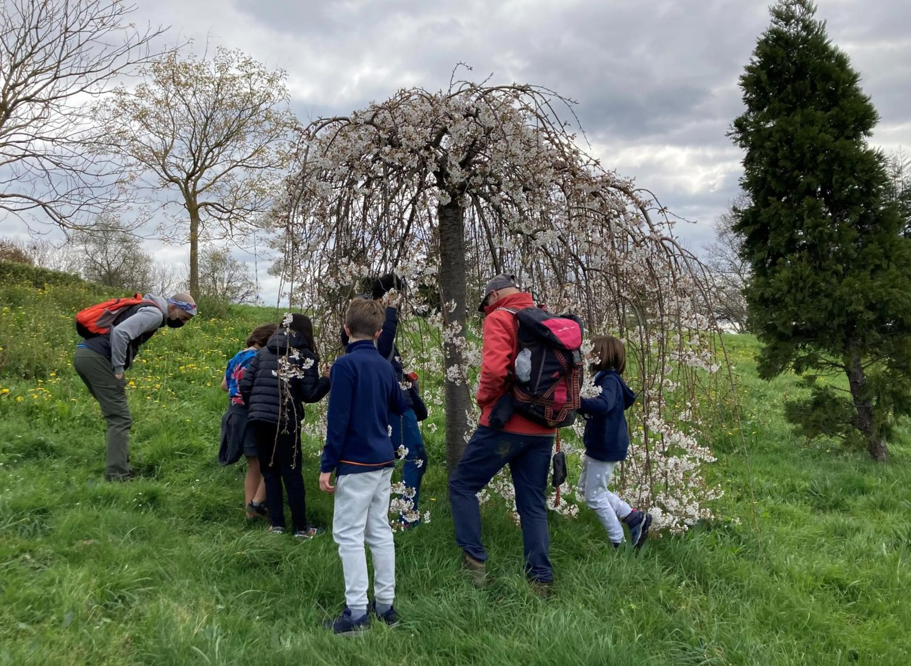 Natural landscape in Mendi Alai