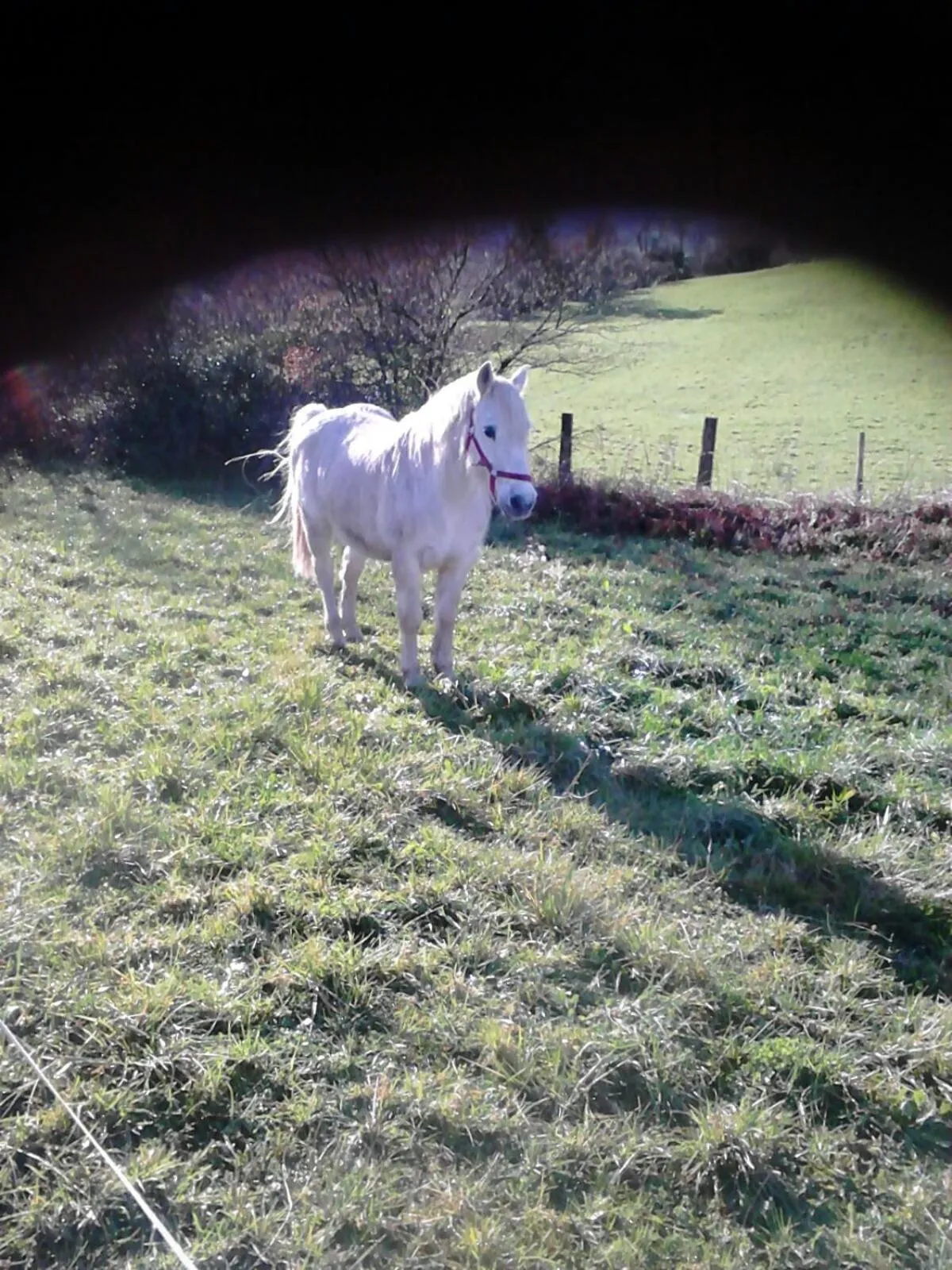Horse-riding in Mendi Alai