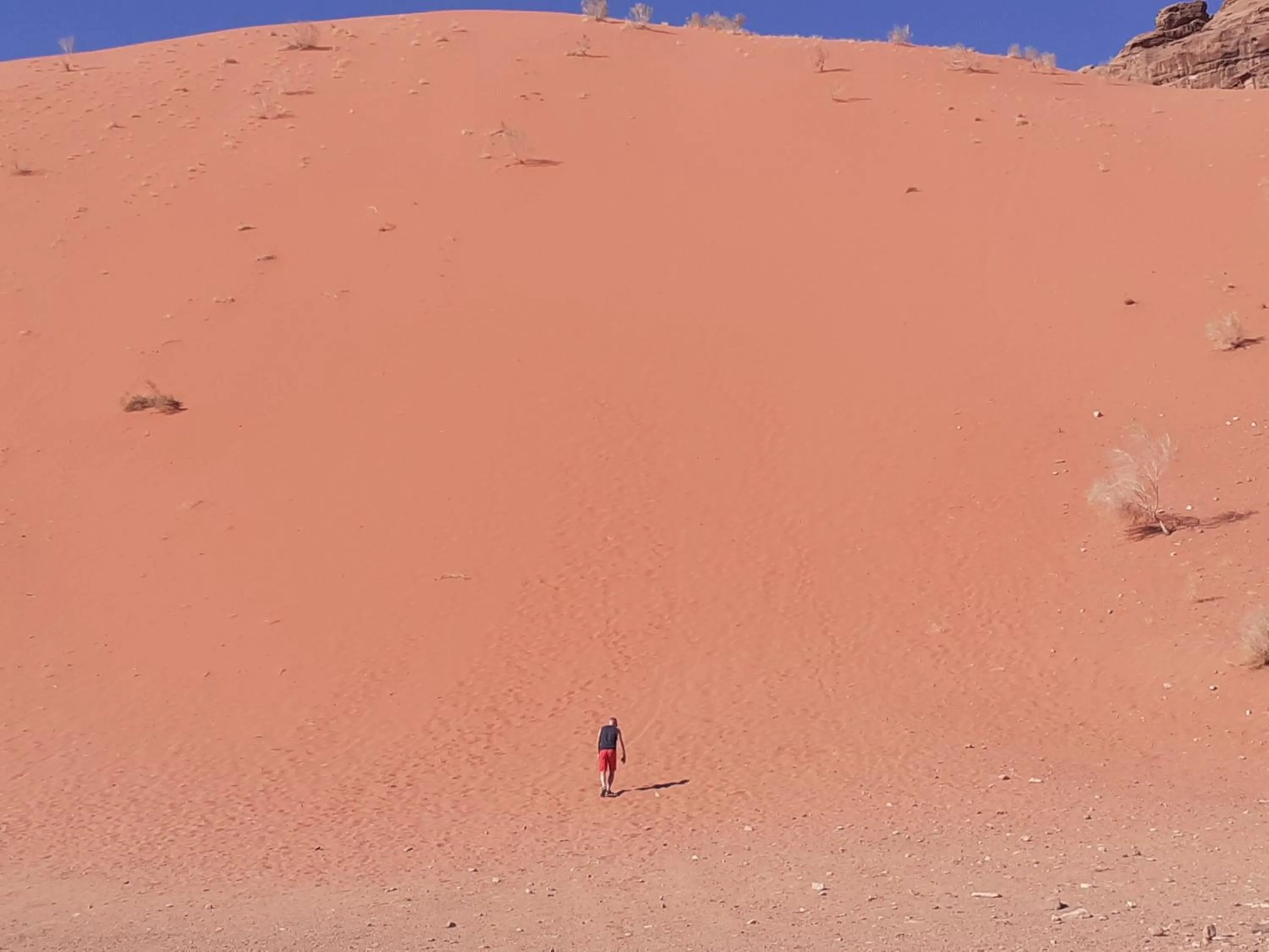 Traditions of Wadi Rum camp & jeep tour