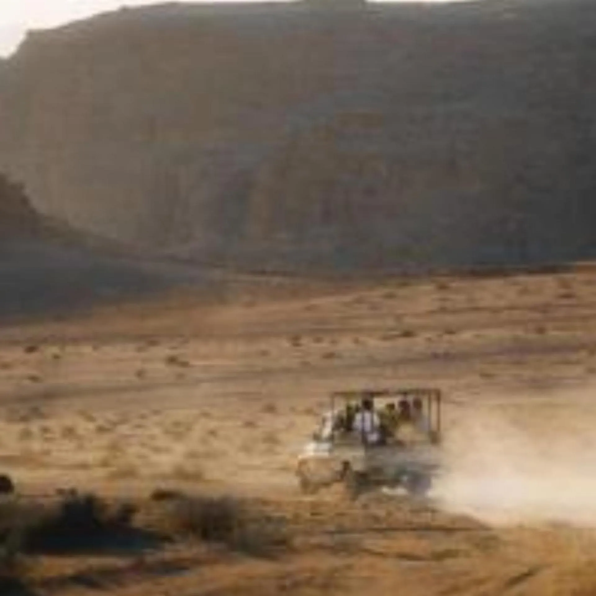Traditions of Wadi Rum camp & jeep tour