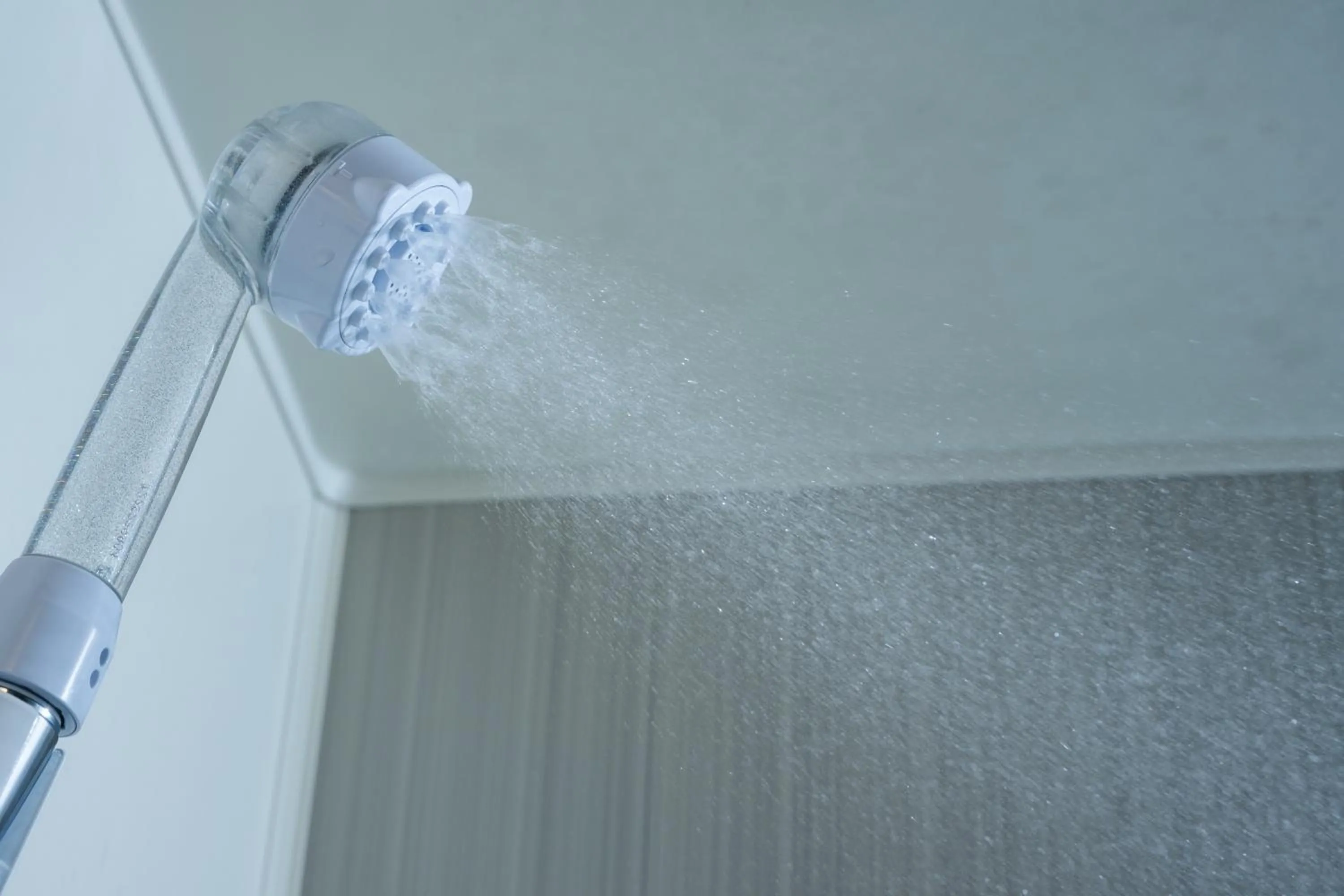 Hotel Nikko Huis Ten Bosch