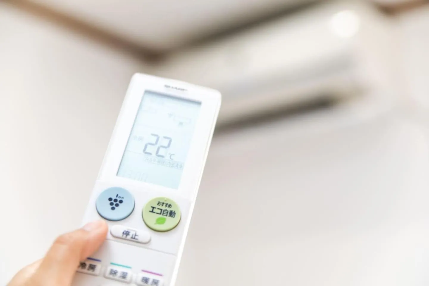 Awaji Seaside Resort in Iwaya 3000