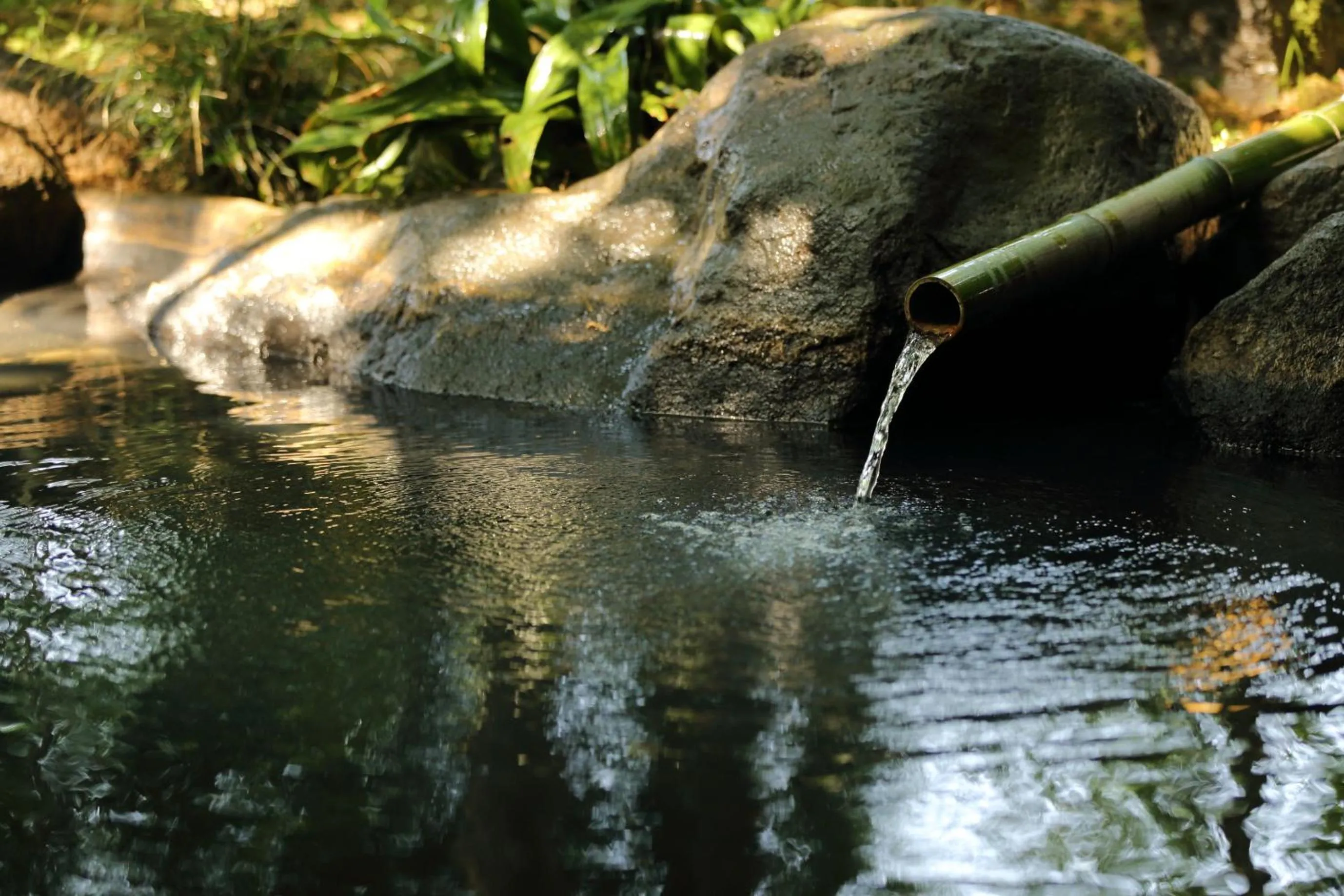 Hot Spring Bath in Shinwaen