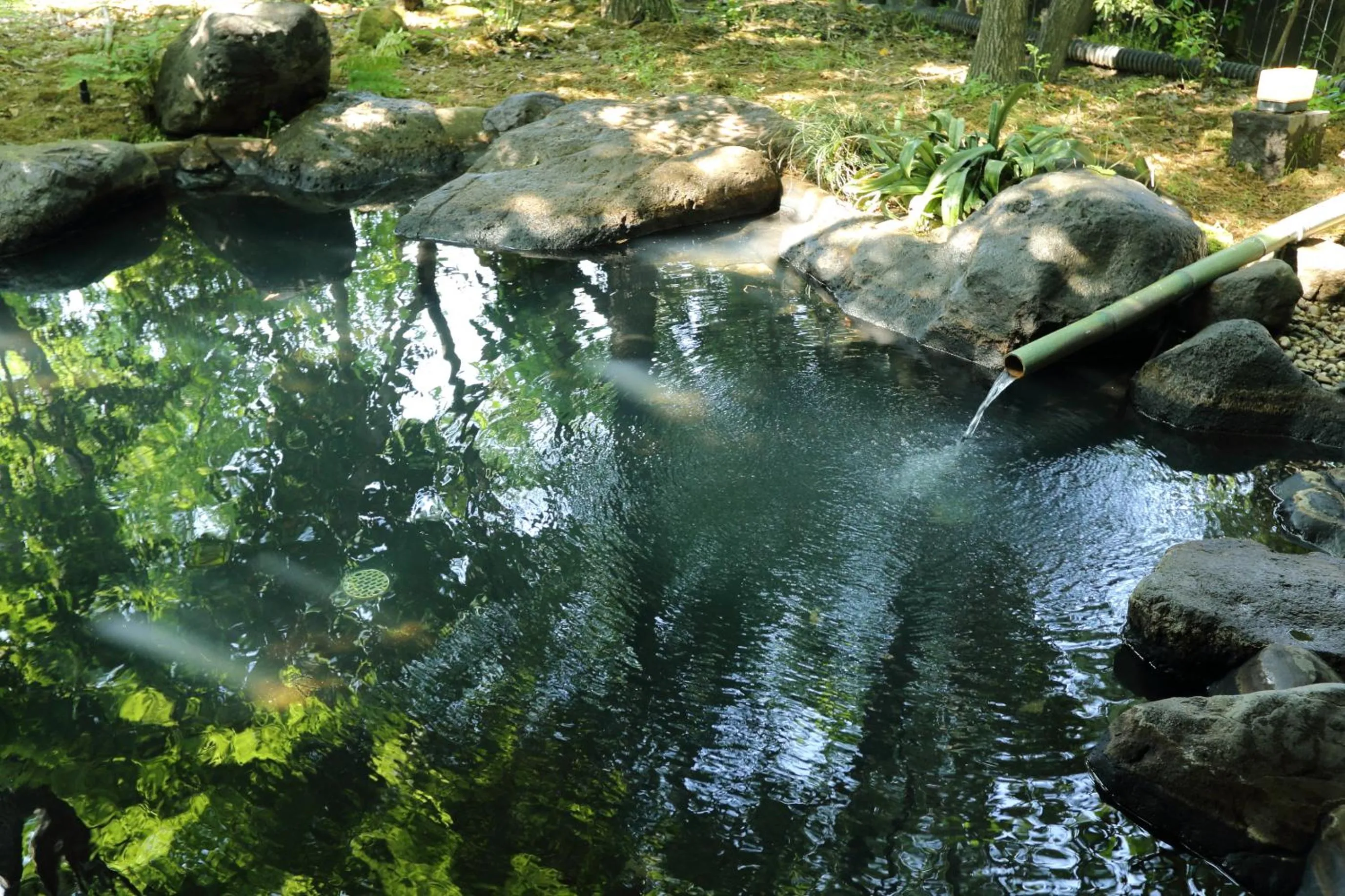 Hot Spring Bath in Shinwaen