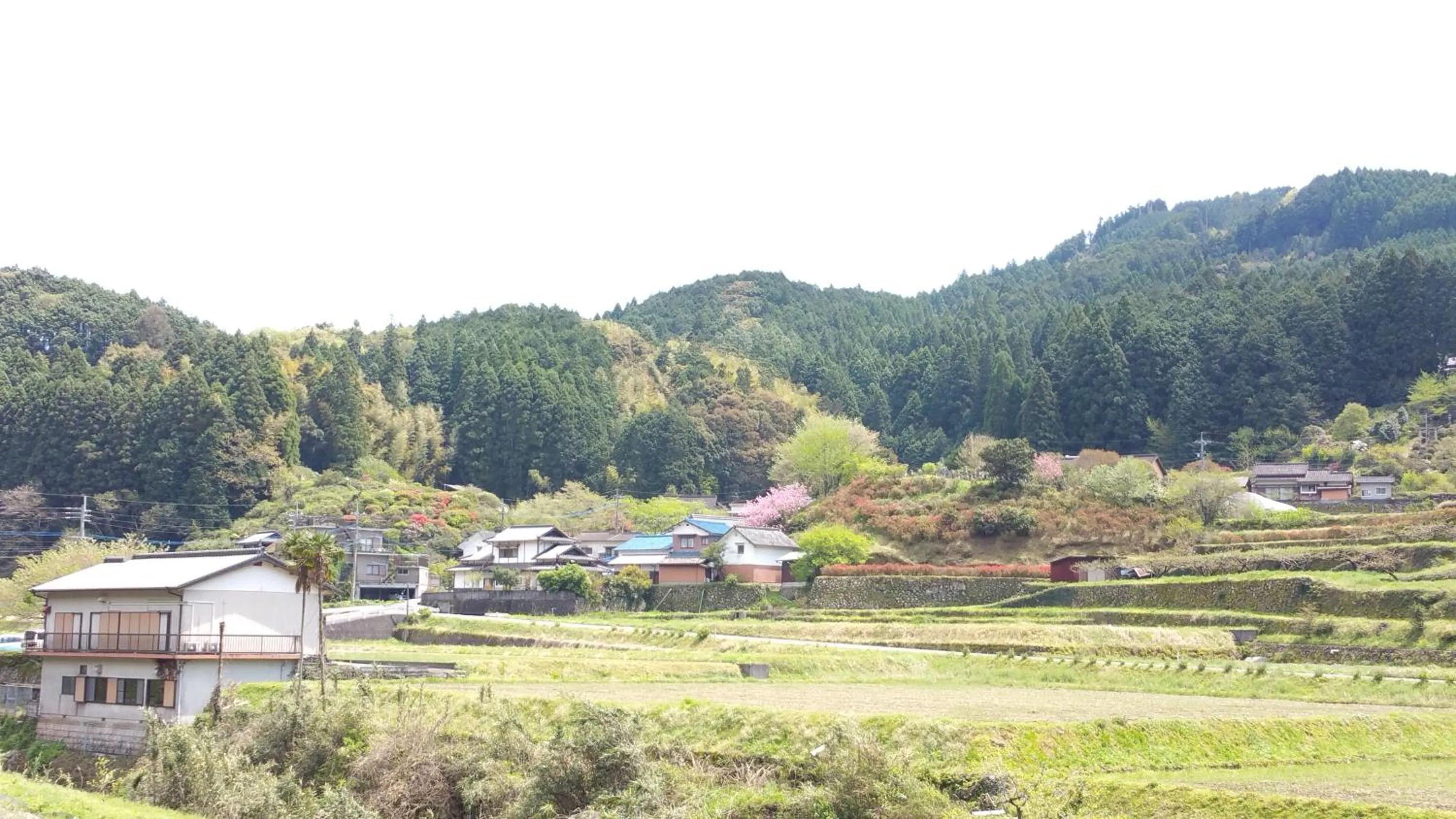 Ukiha Kojio no Akari