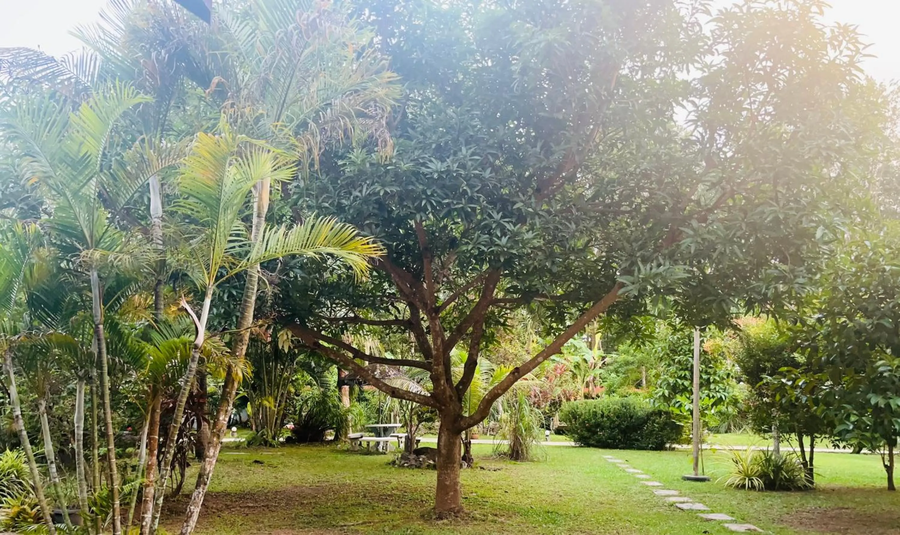 Garden in Najjamee Bungalows