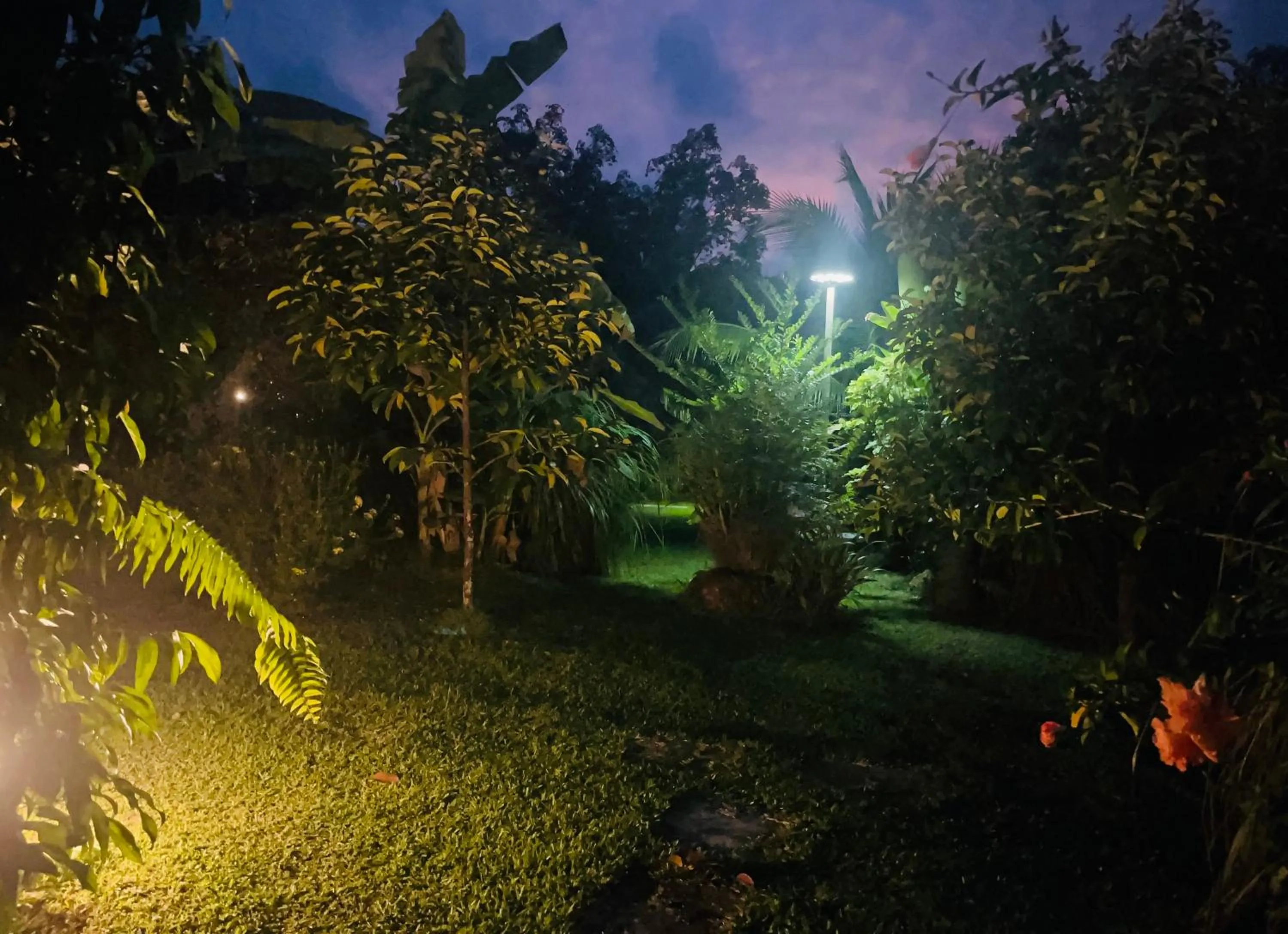 Garden in Najjamee Bungalows
