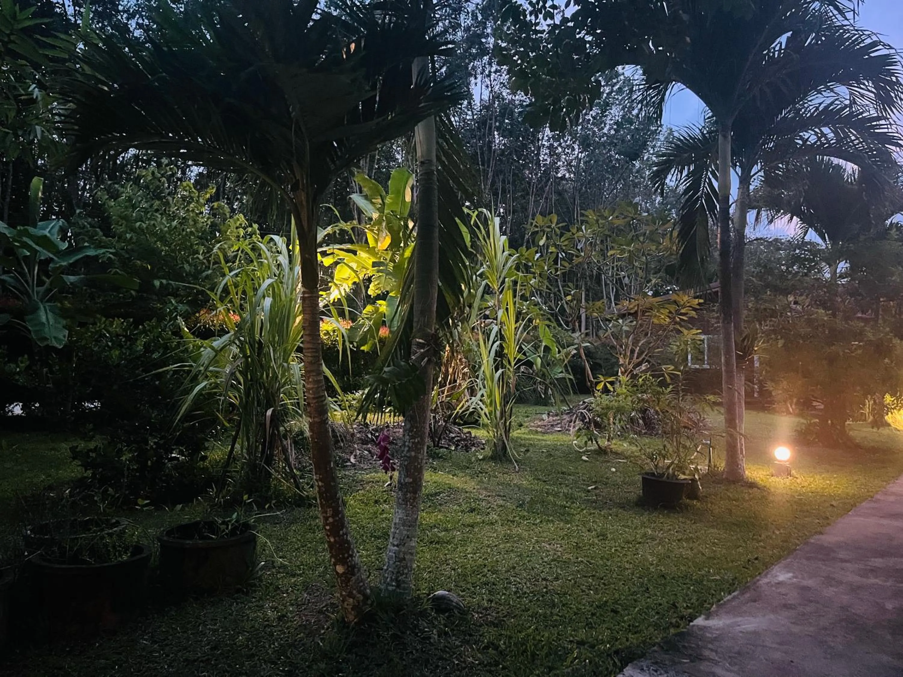 Garden in Najjamee Bungalows
