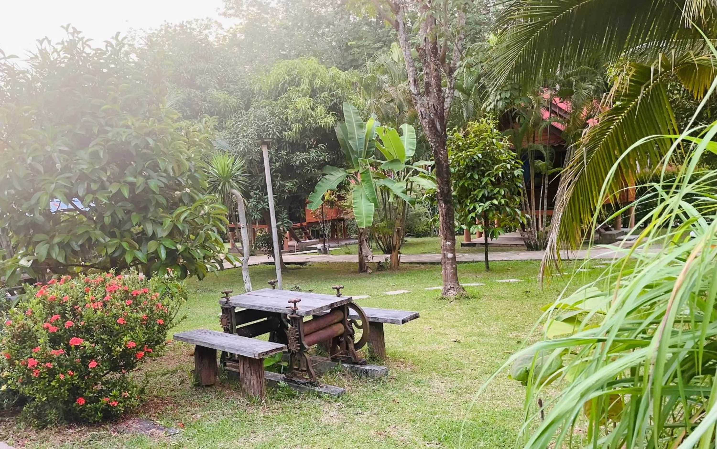 Garden view in Najjamee Bungalows