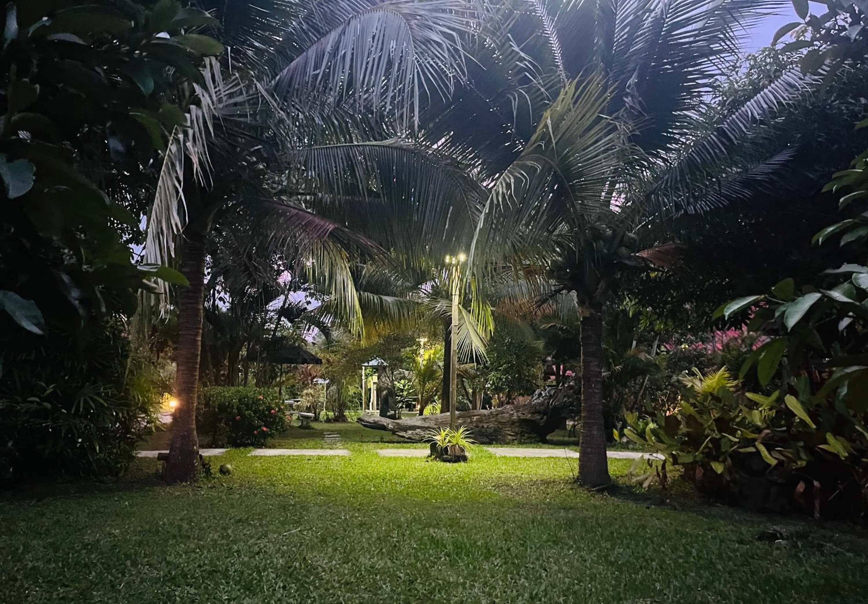 Garden in Najjamee Bungalows