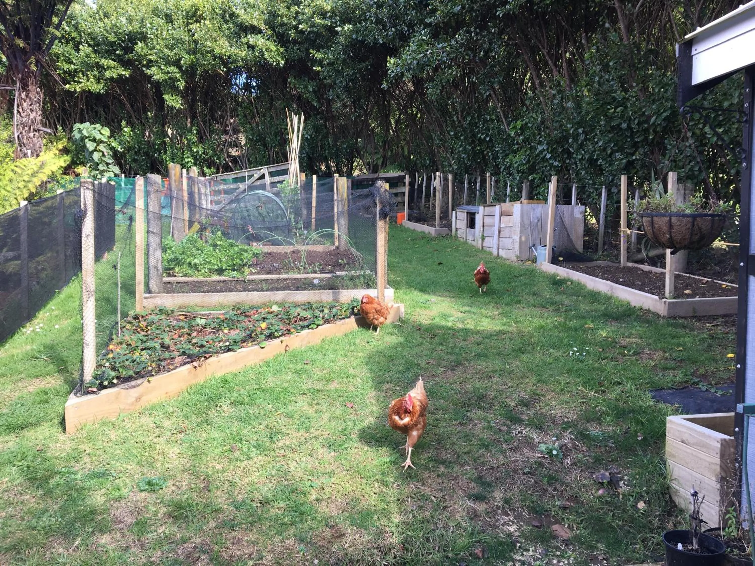 Garden in Beynon&Bolton’s Country Loft Escape