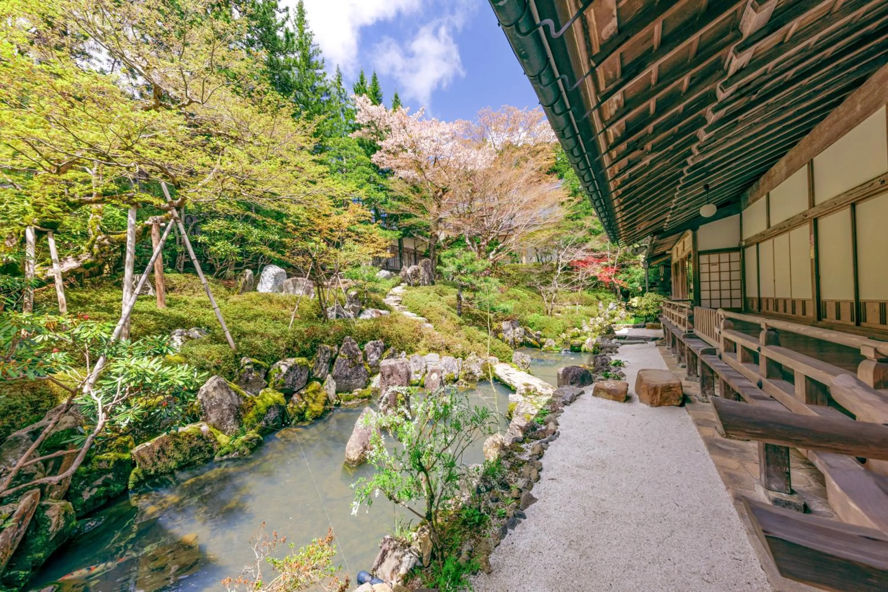 Spring in Koyasan Sanadabo Rengejoin