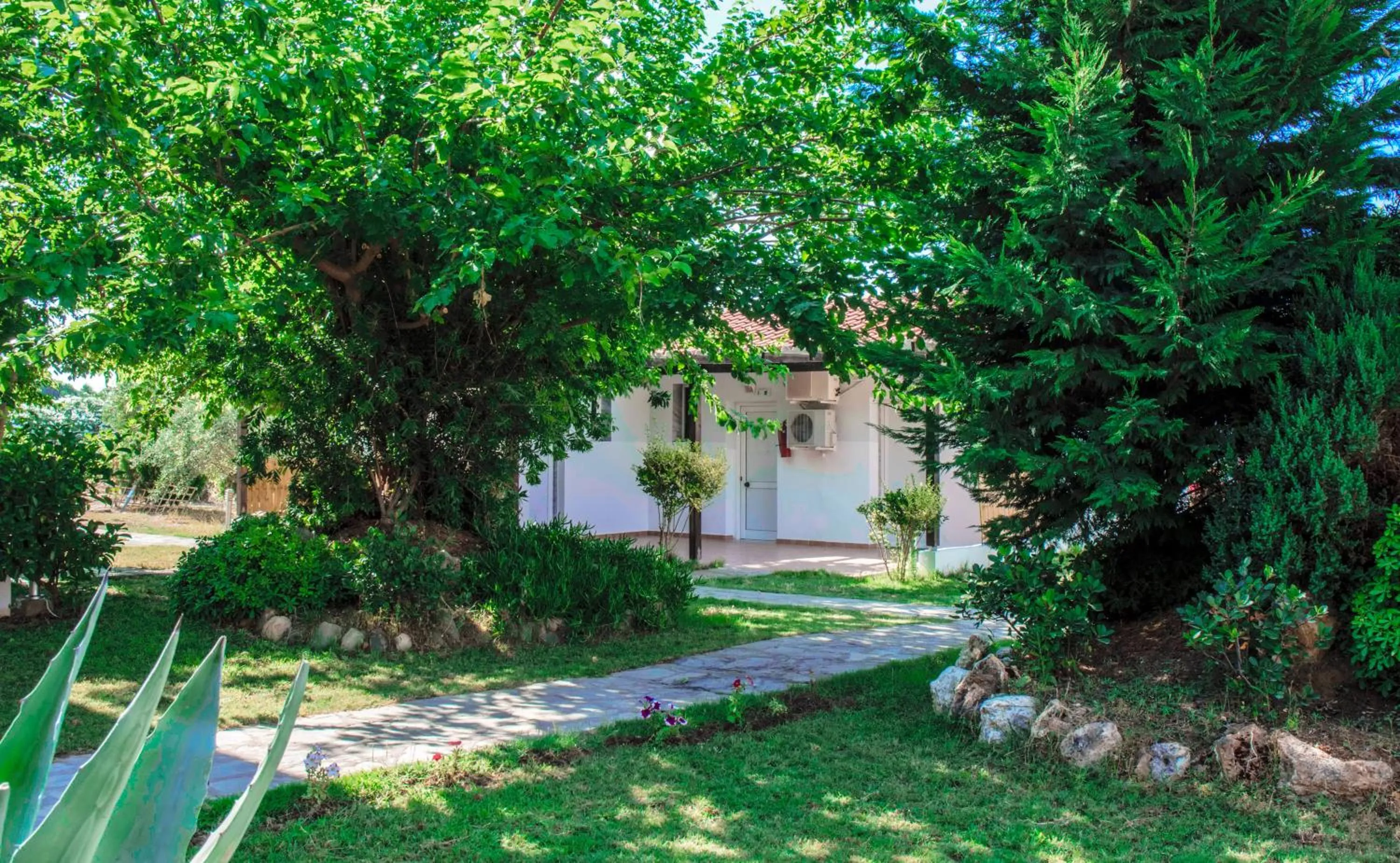 Property building in Coral Blue Beach Hotel Gerakini